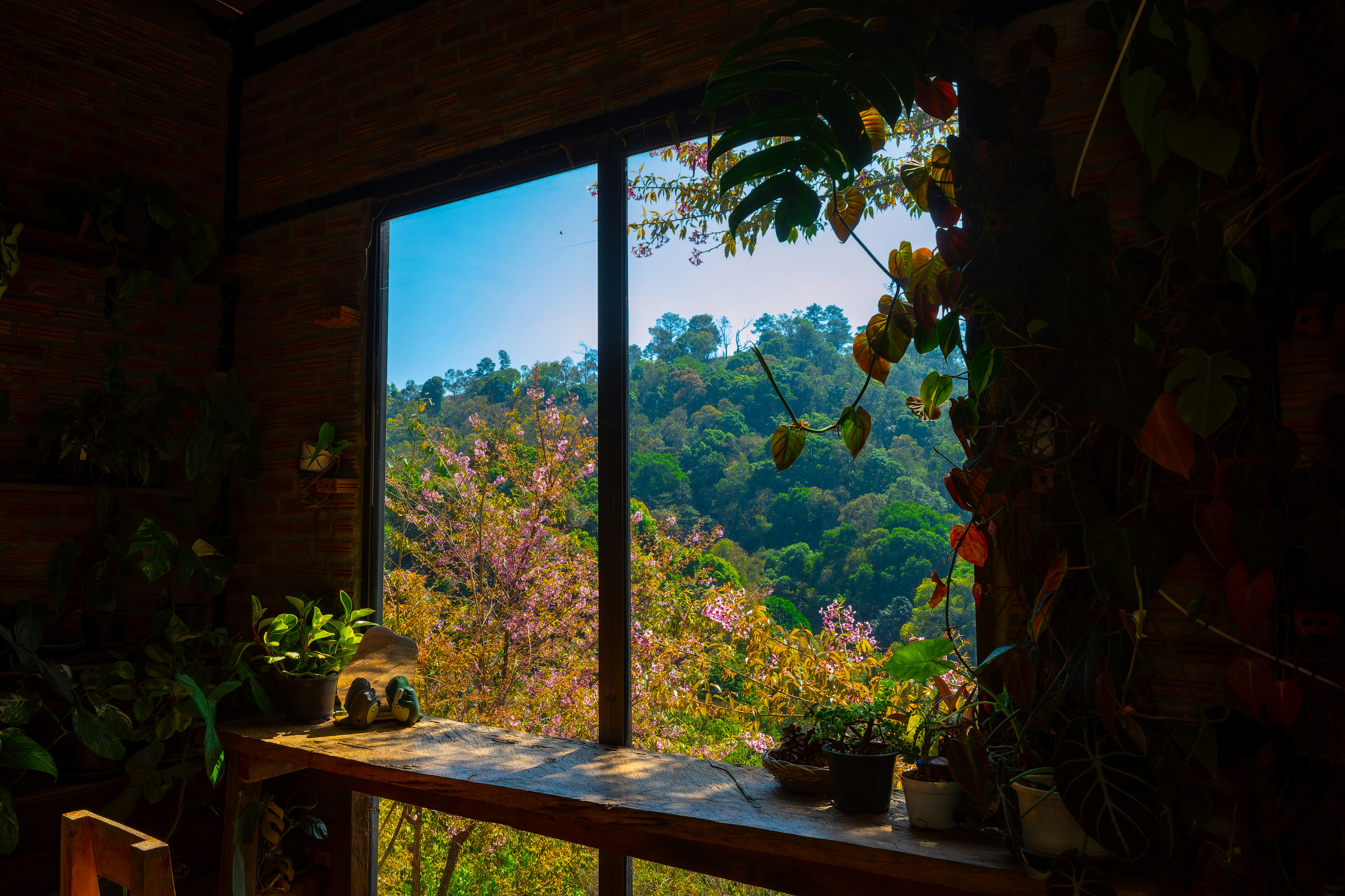 Blick auf ein Bergtal mit blühenden Blumen durch ein Fenster