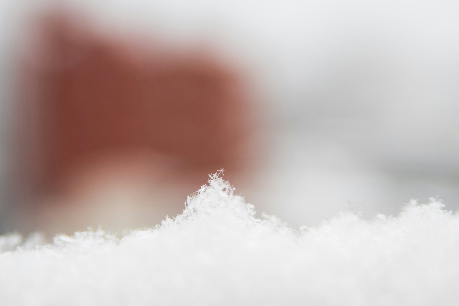 雪の結晶が積もった柵のアップ