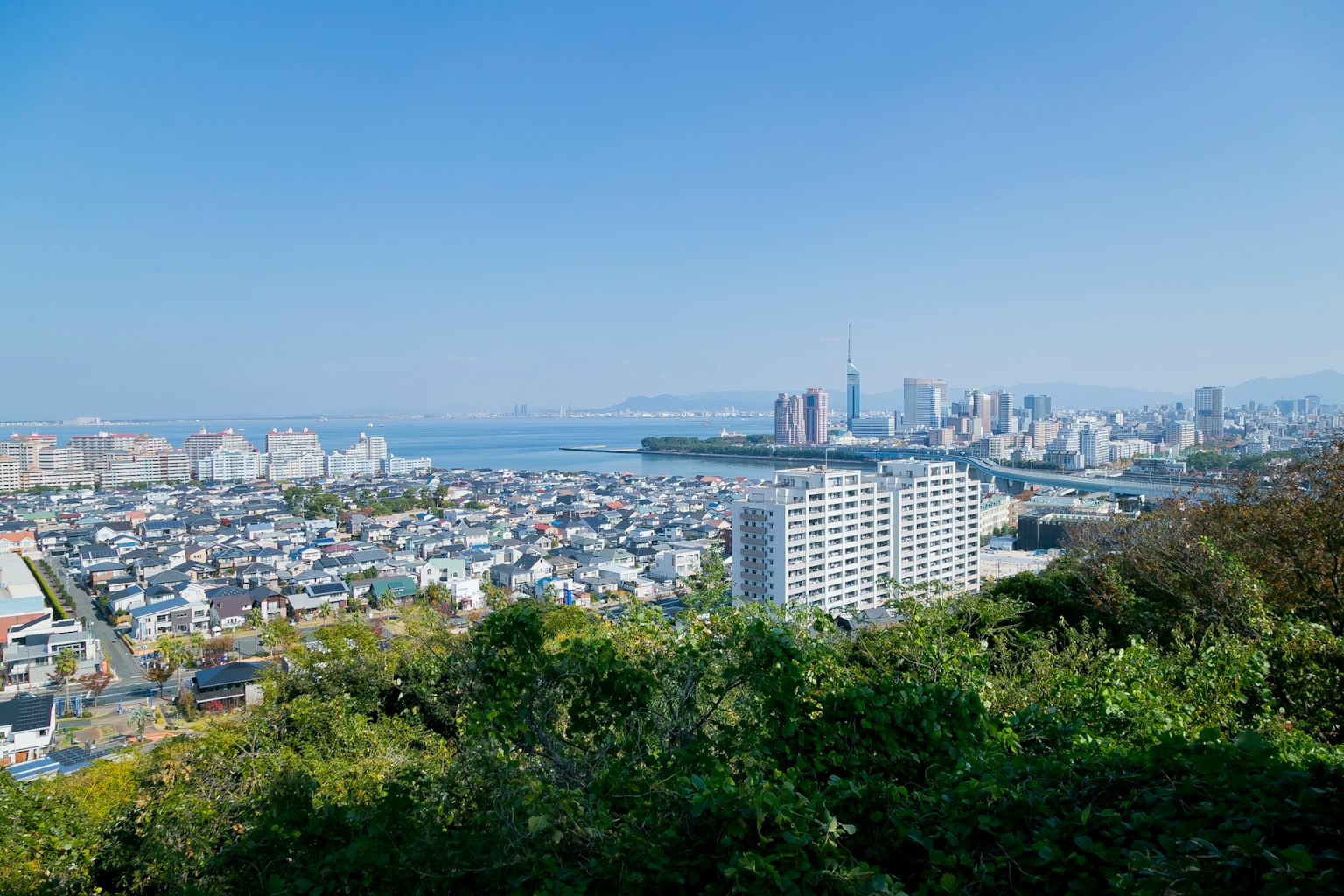 從綠色山丘俯瞰城市的全景有摩天大樓和大海