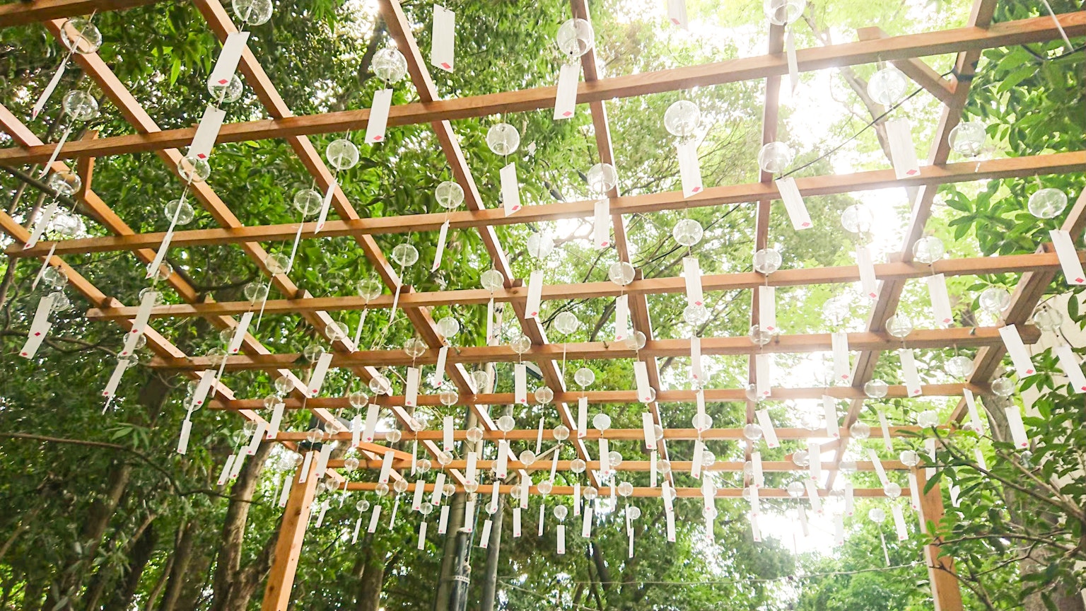 Hermosa escena de campanas de viento colgando en un bosque verde