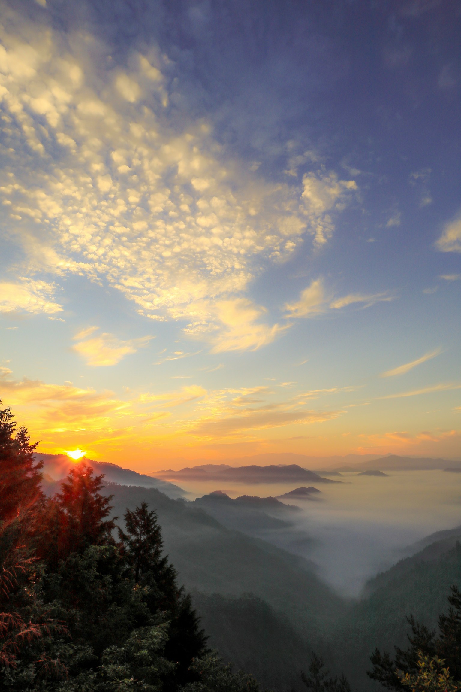 photo-JEL3t4SiQrZYJpbKMMwD-image