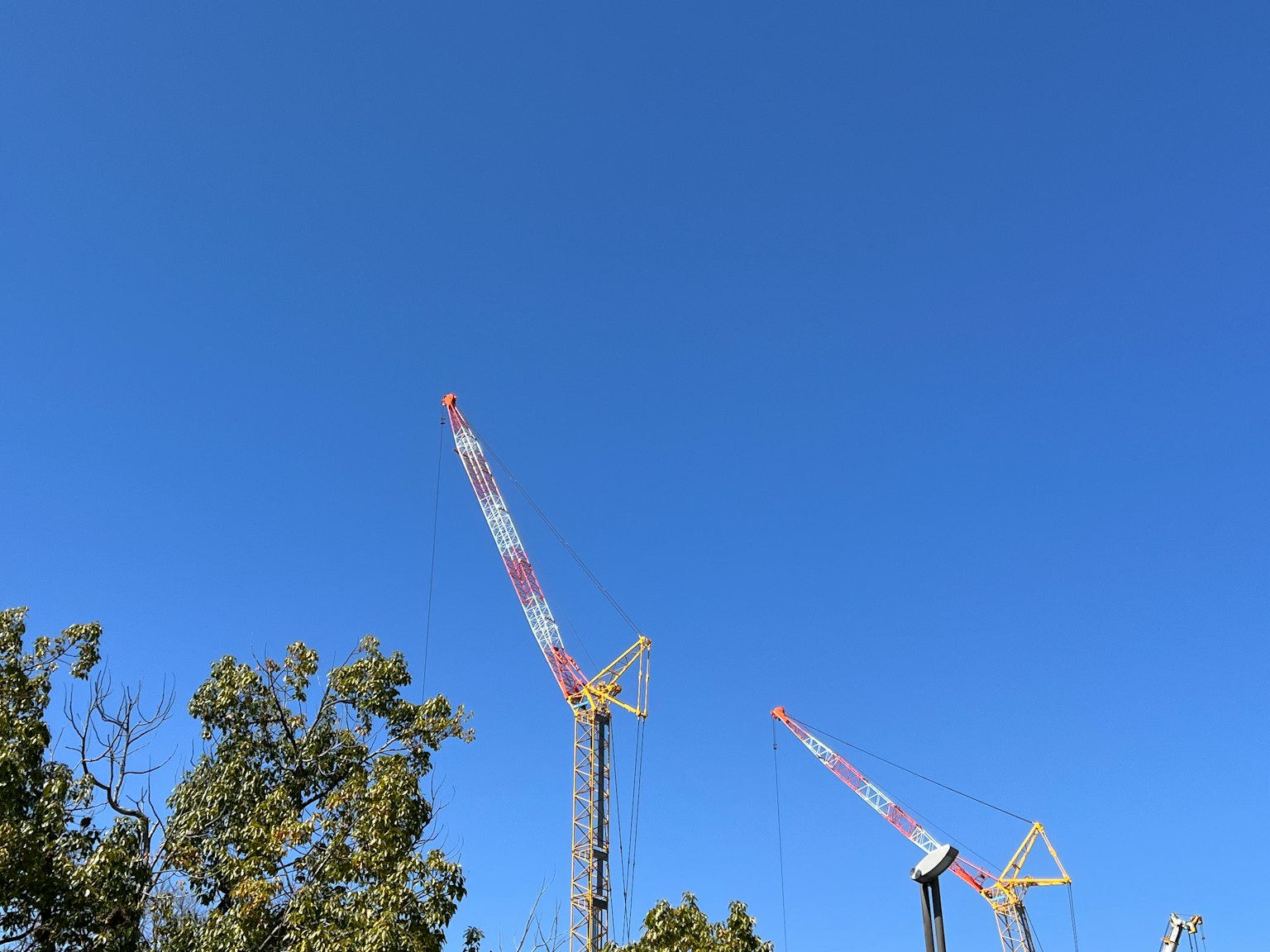 Grúas que se elevan contra un cielo azul claro con árboles abajo