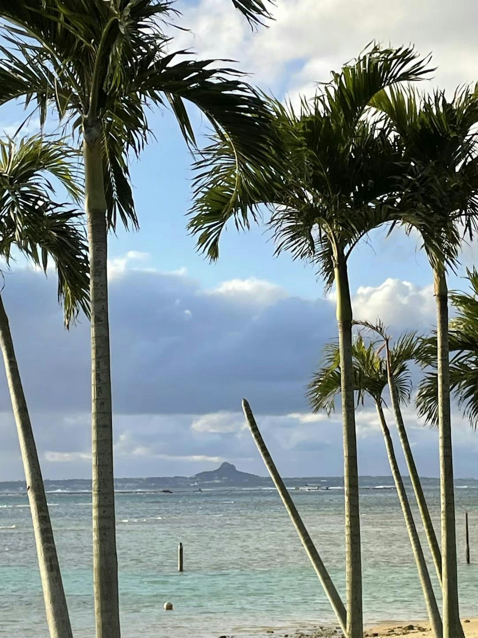Palm trees against a backdrop of blue sea and sky with a distant island