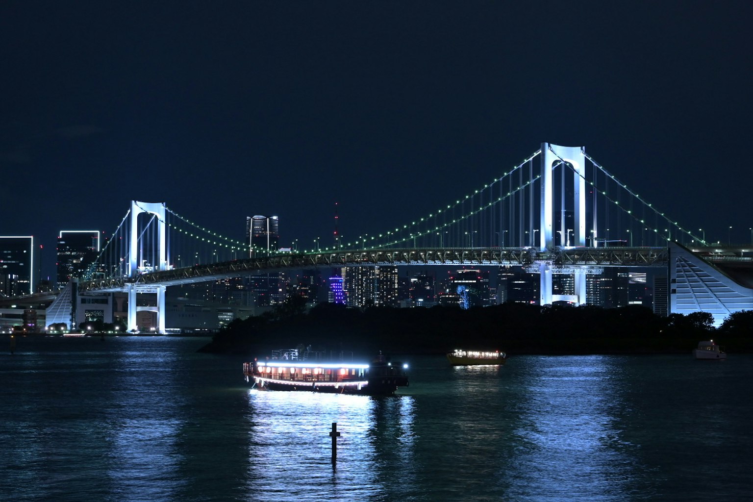 夜晚的彩虹桥和灯光照亮的城市天际线