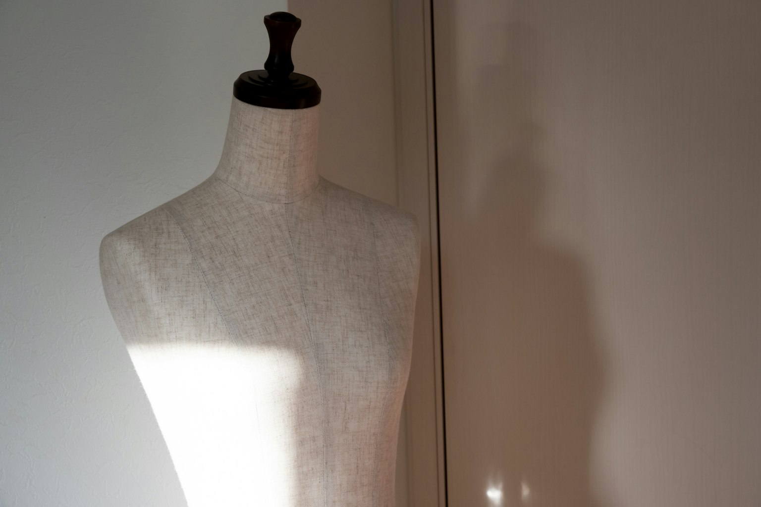Side view of a mannequin casting a shadow against a plain background