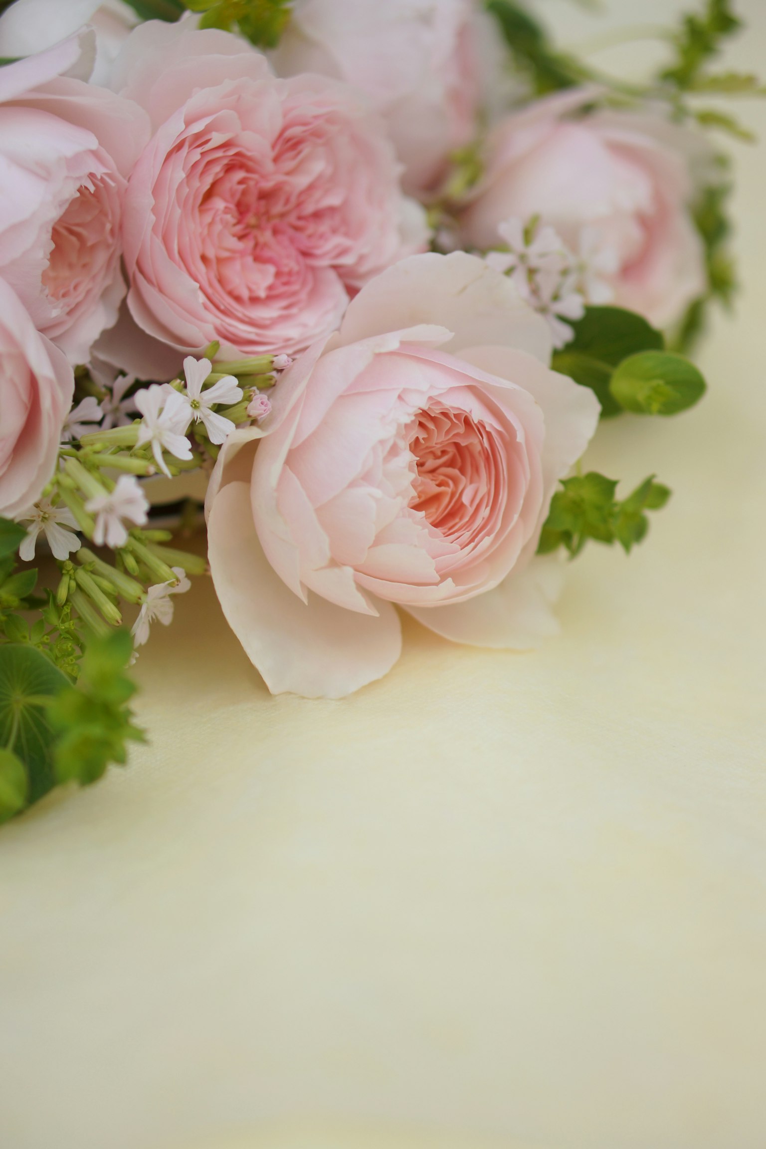 A bouquet of pale pink roses and white flowers set against a yellow background