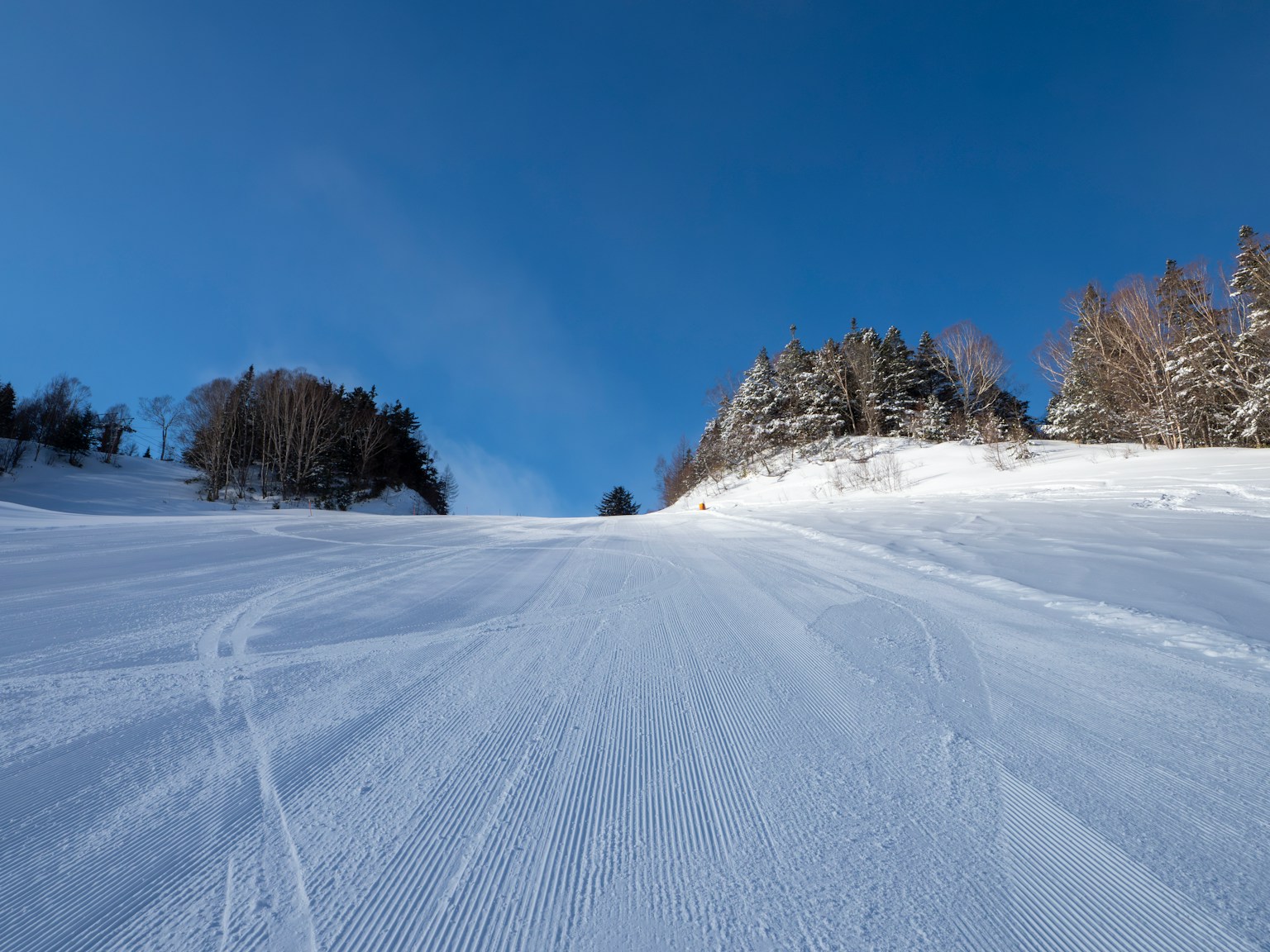 Pendiente de esquí cubierta de nieve con cielo azul claro y árboles al fondo
