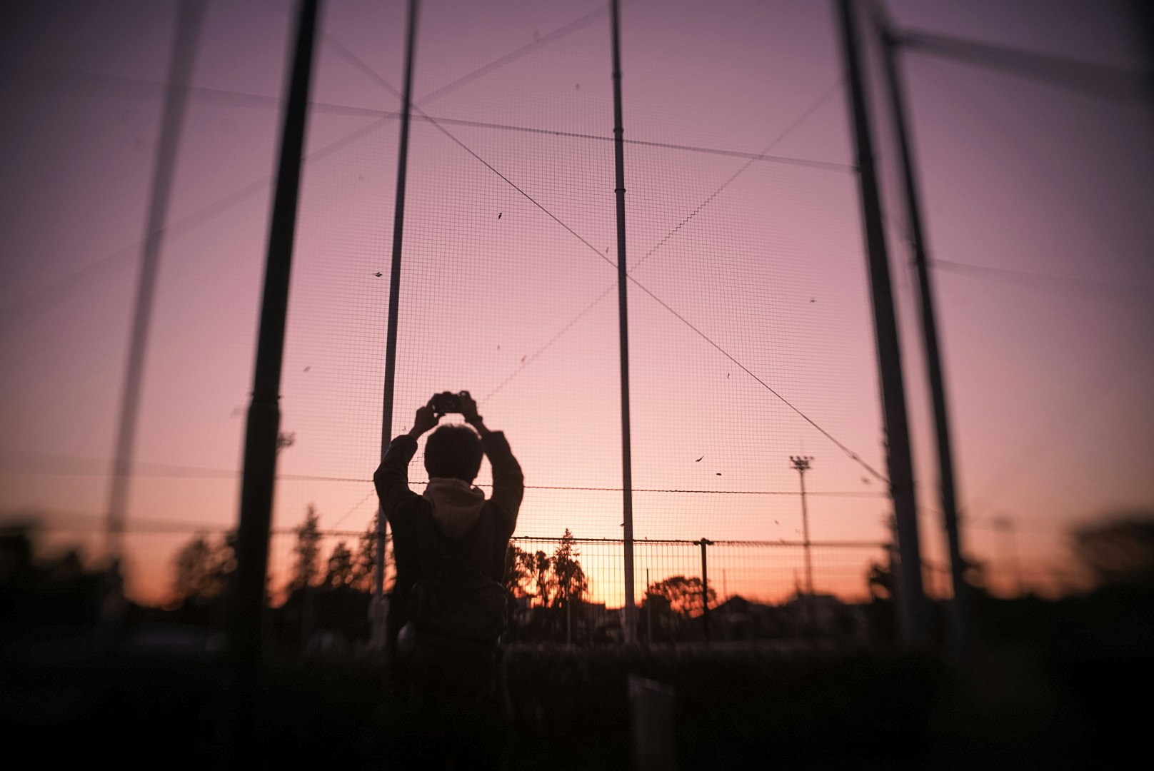 夕暮れの空を見上げるシルエットの人物