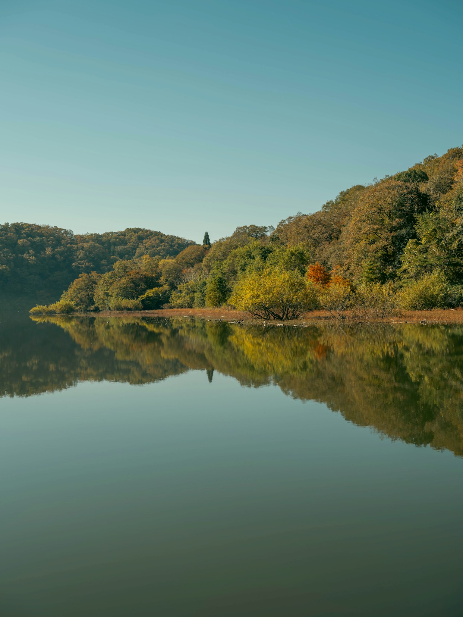 穏やかな湖の風景、青空と山々の反射、秋の色合いの木々