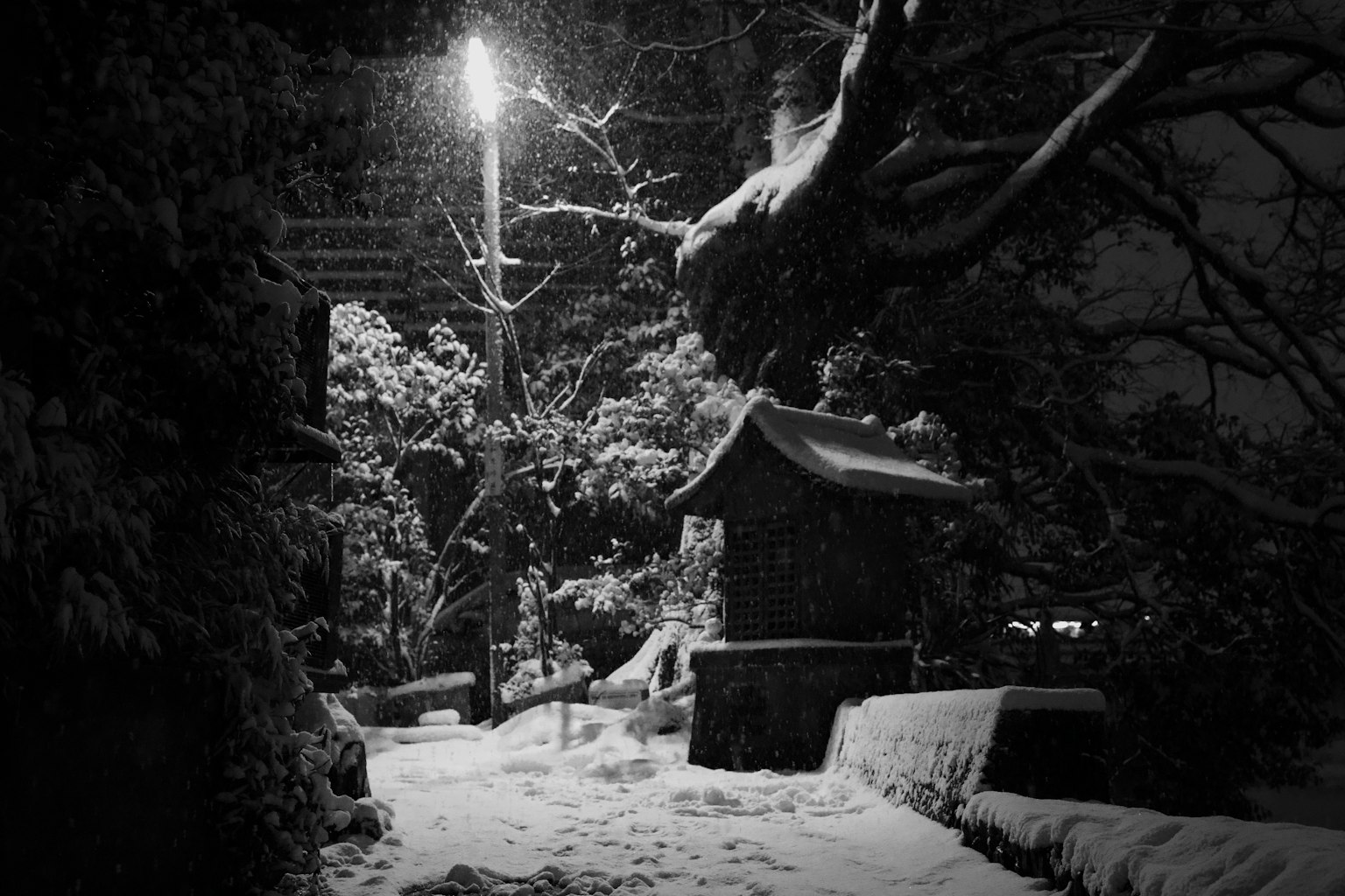 被雪覆盖的夜景，有路灯和古老建筑