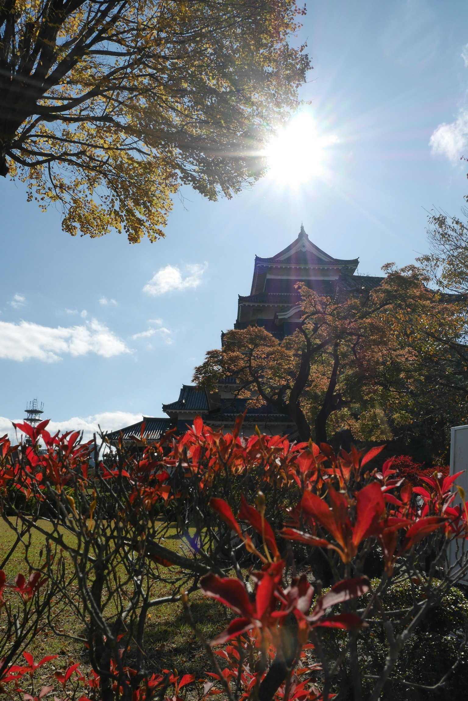 Edificio japonés tradicional rodeado de follaje otoñal y luz solar