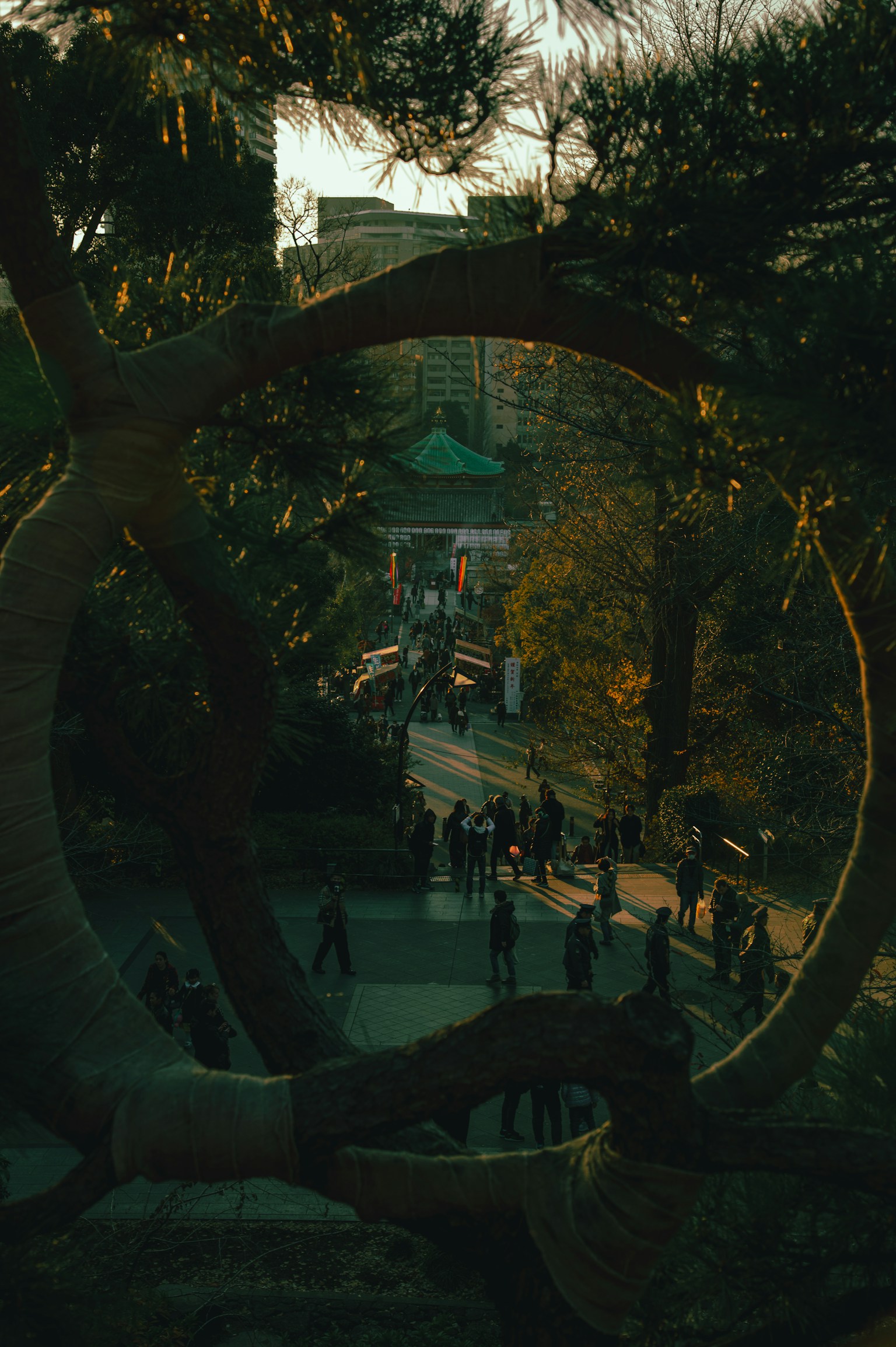 透過樹的圓形框架看到的公園和人們
