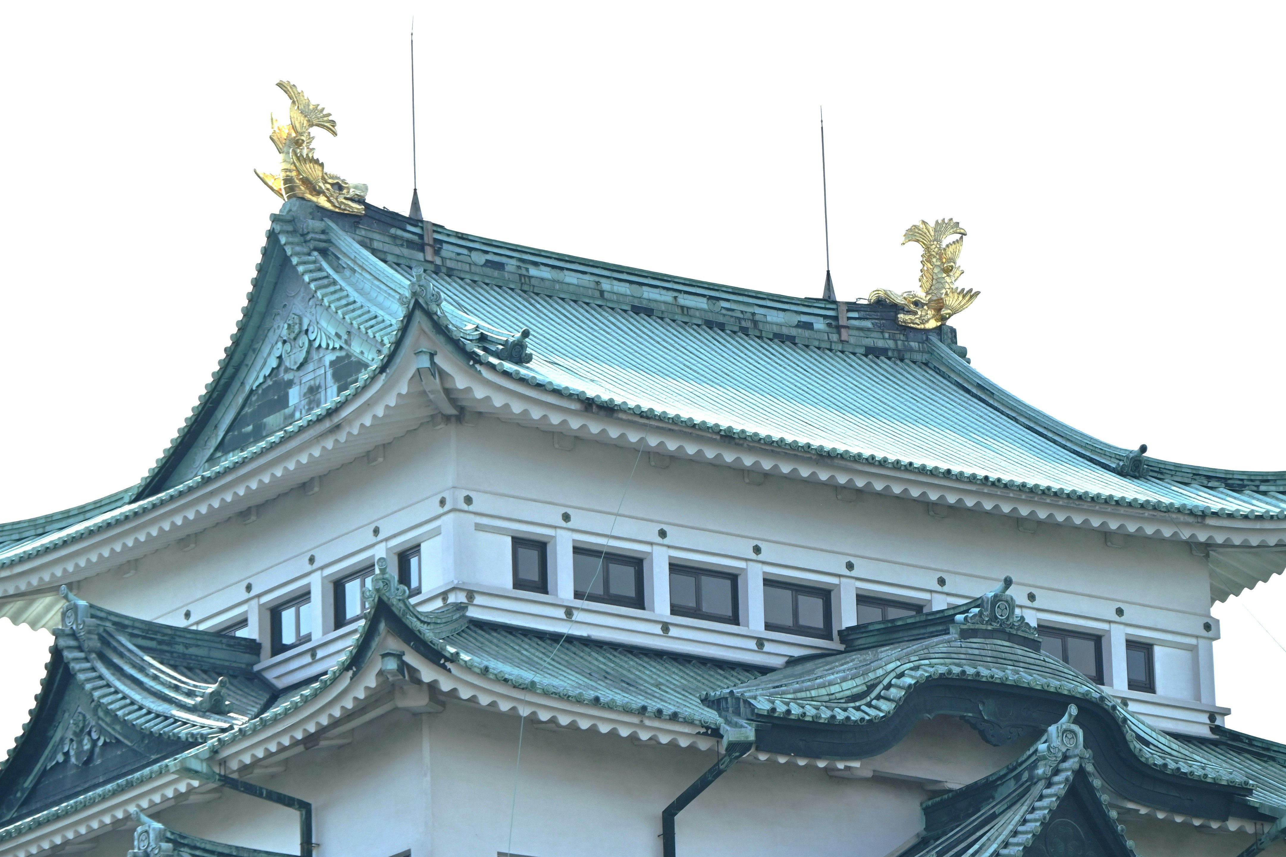 名古屋城の屋根瓦と金の鯱が見える城郭建築