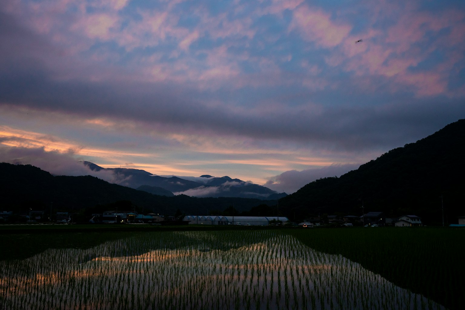 Campo de arroz pintoresco reflejando un hermoso atardecer con montañas y nubes al fondo