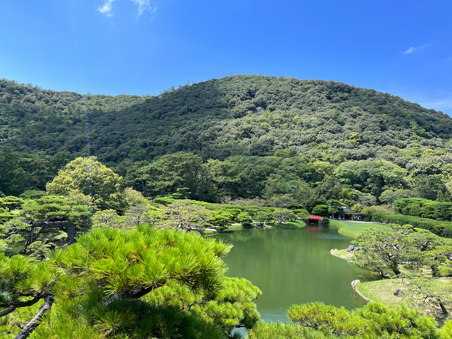 Lush green hills surrounding a tranquil pond under a clear blue sky