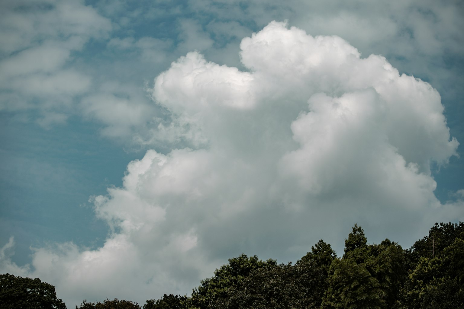 파란 하늘에 떠 있는 큰 흰 구름과 그 아래의 녹색 나무들
