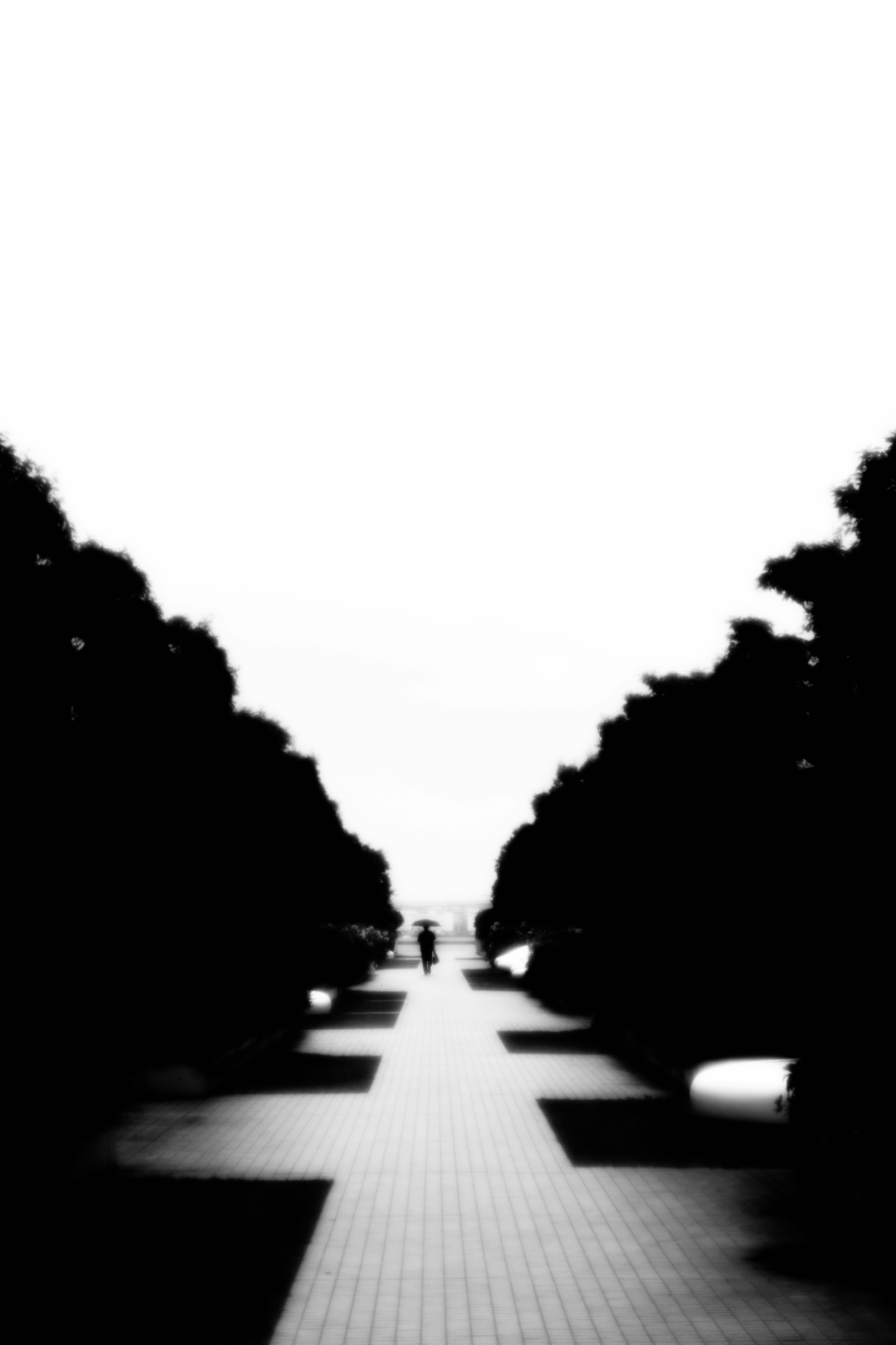 並木道の奥へ続く直線の遊歩道