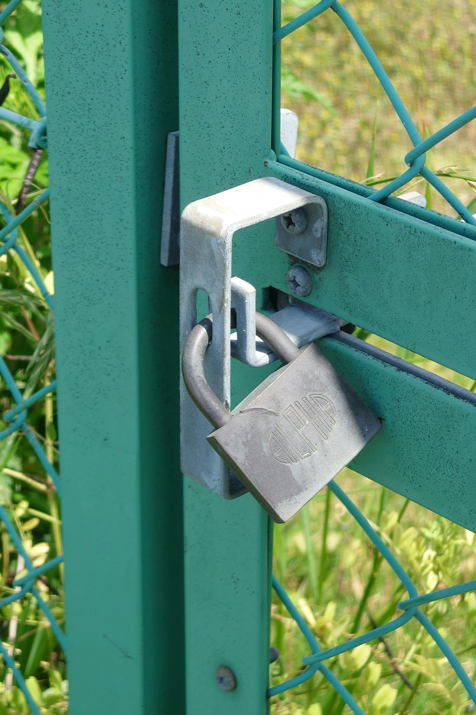 Close-up of a padlock on a green fence gate