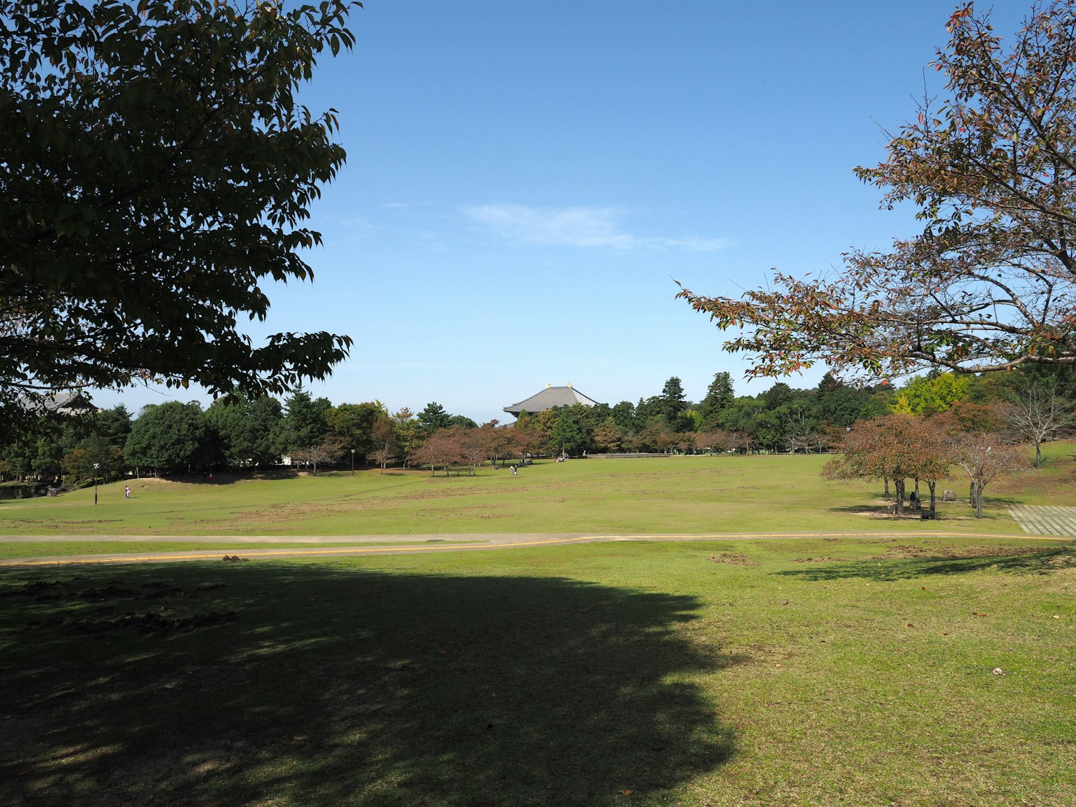 Green park under a blue sky with a distant hill