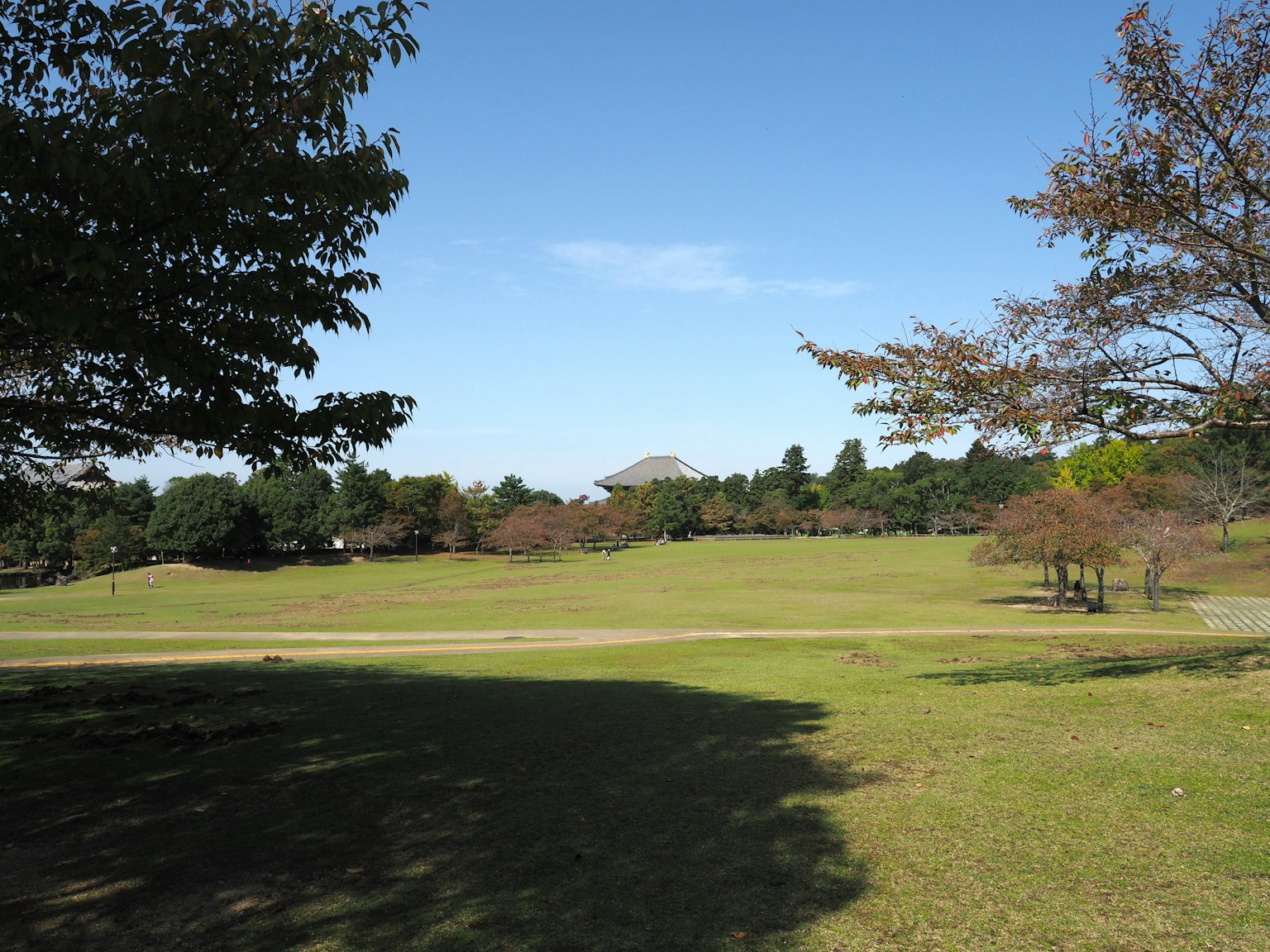 藍天下的綠色公園和遠處的山丘