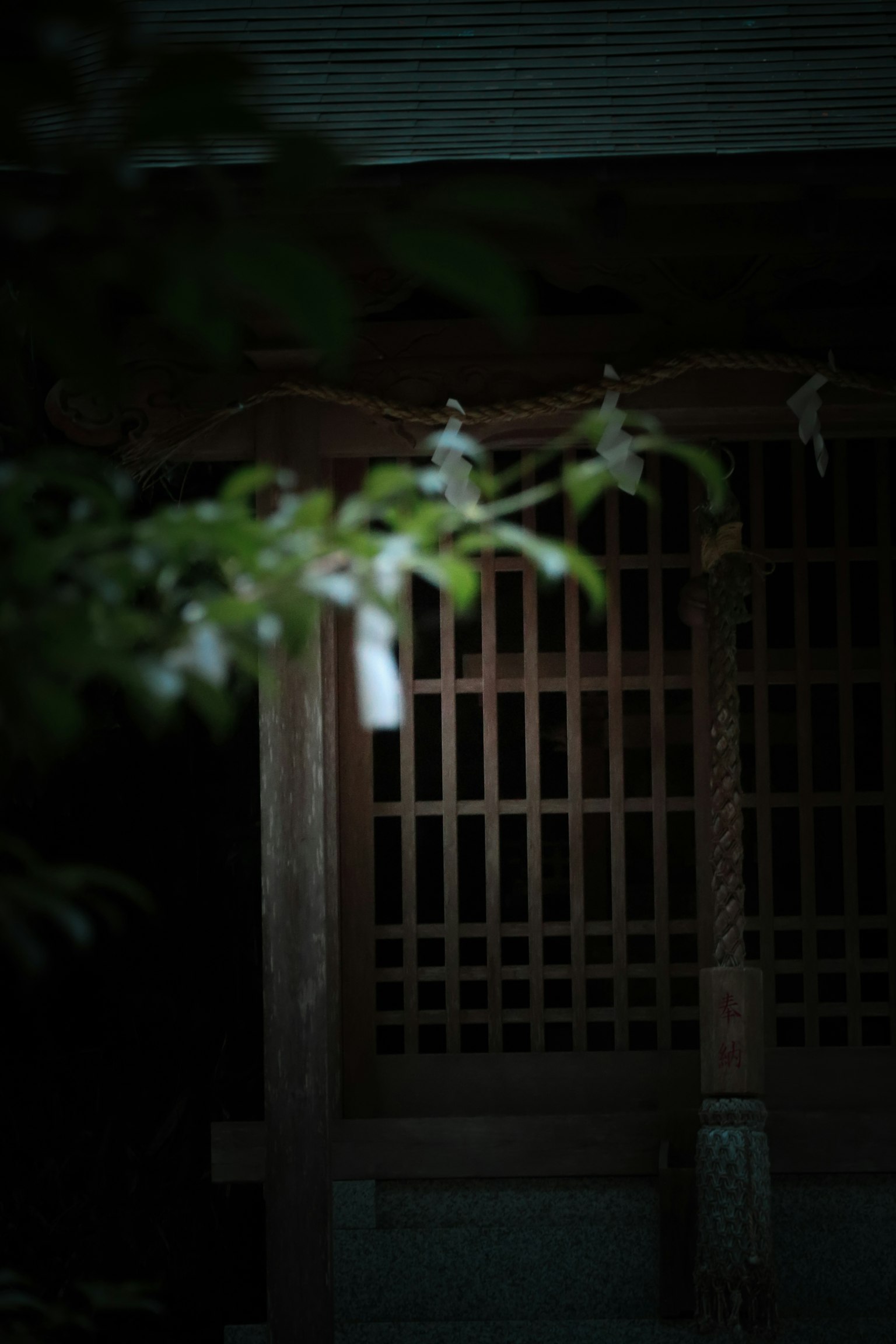 Partie d'un sanctuaire japonais traditionnel partiellement éclairée dans un cadre sombre avec du feuillage