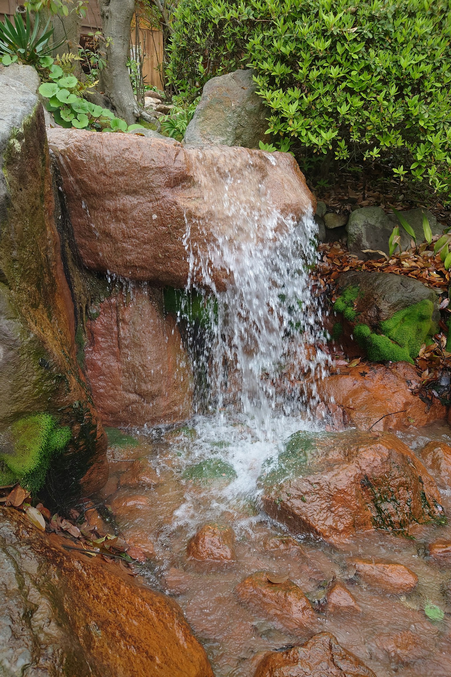 Une petite cascade s'écoulant sur des pierres entourées de verdure