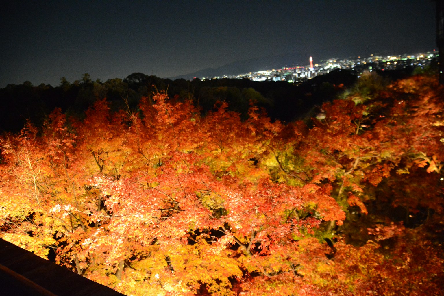 夜間照亮的生動秋葉與背景中的城市燈光