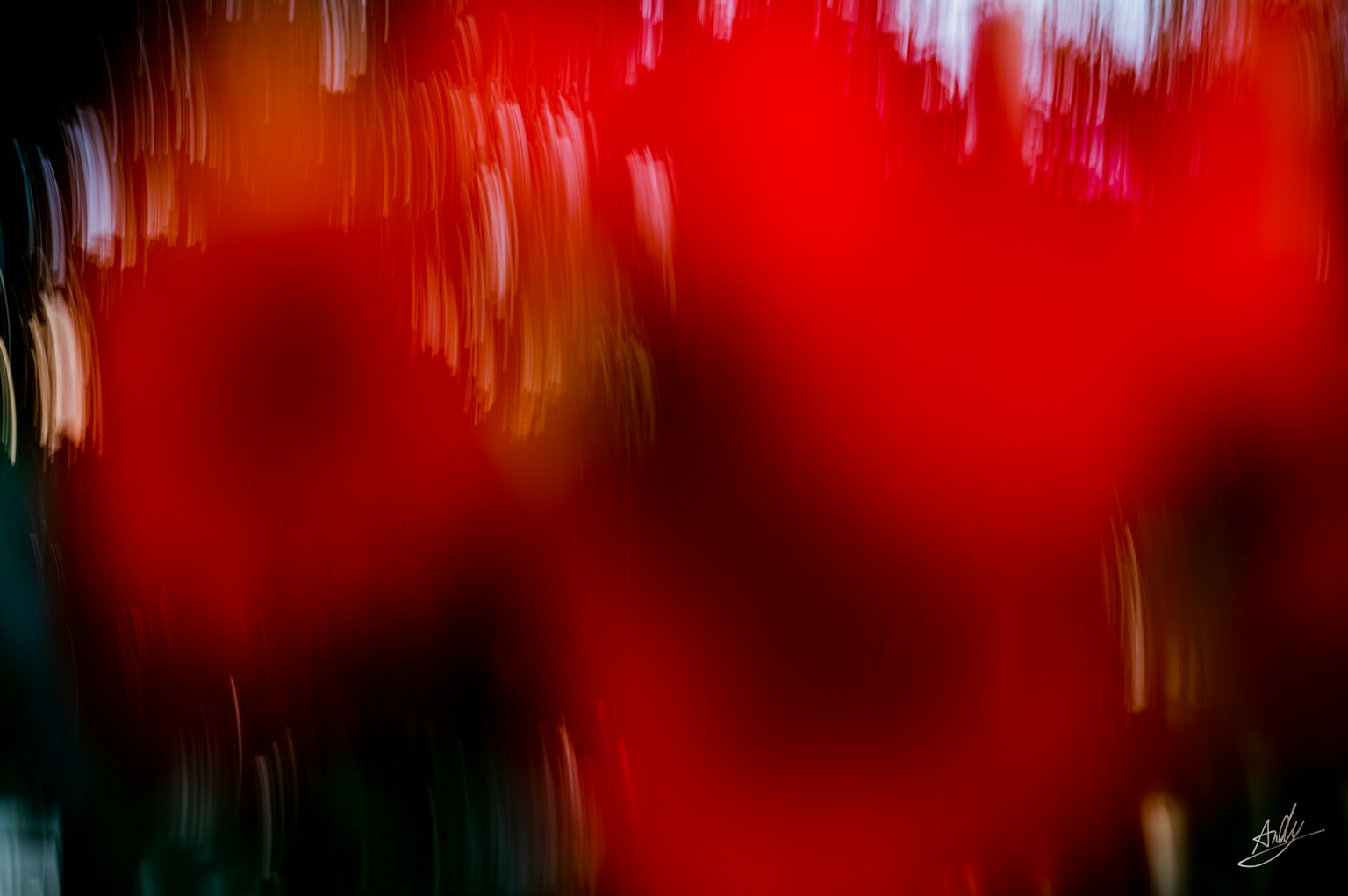 photo-JM04kki14X9CRxKqEM5j-image
