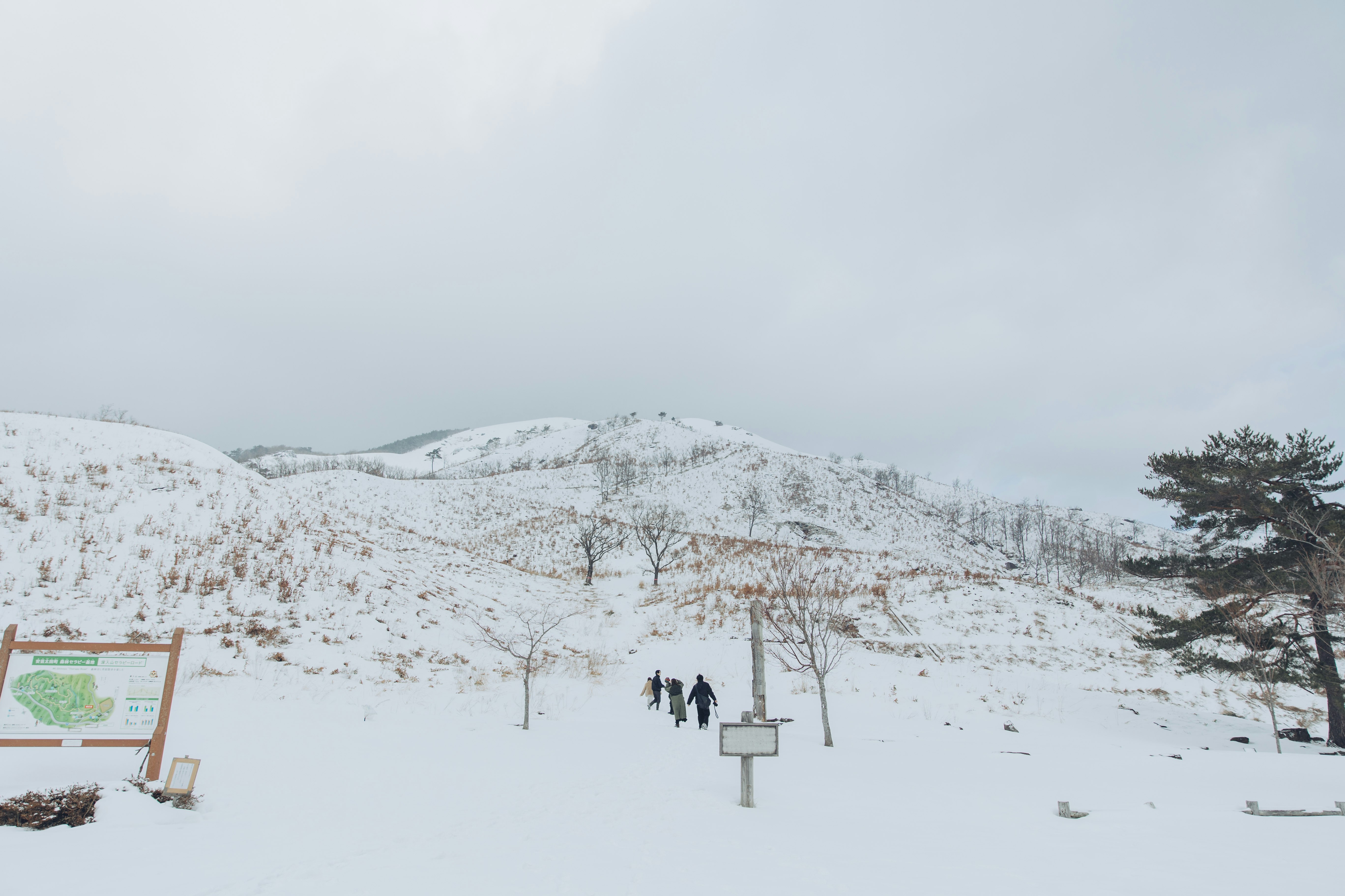 雪に覆われた山の斜面と歩く人々のあるスキー場の景色