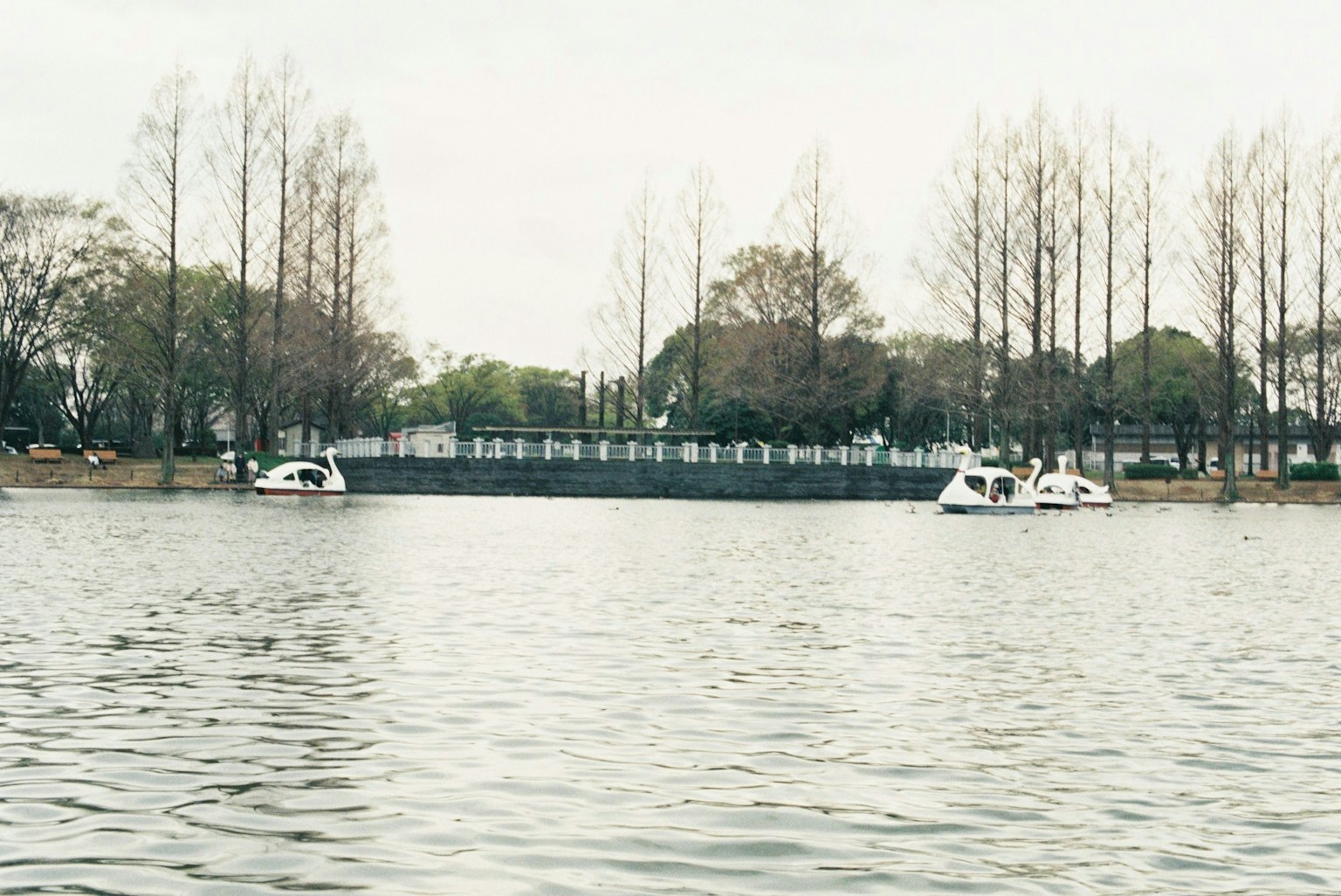 Bateaux sur une surface d'eau calme avec des arbres en arrière-plan