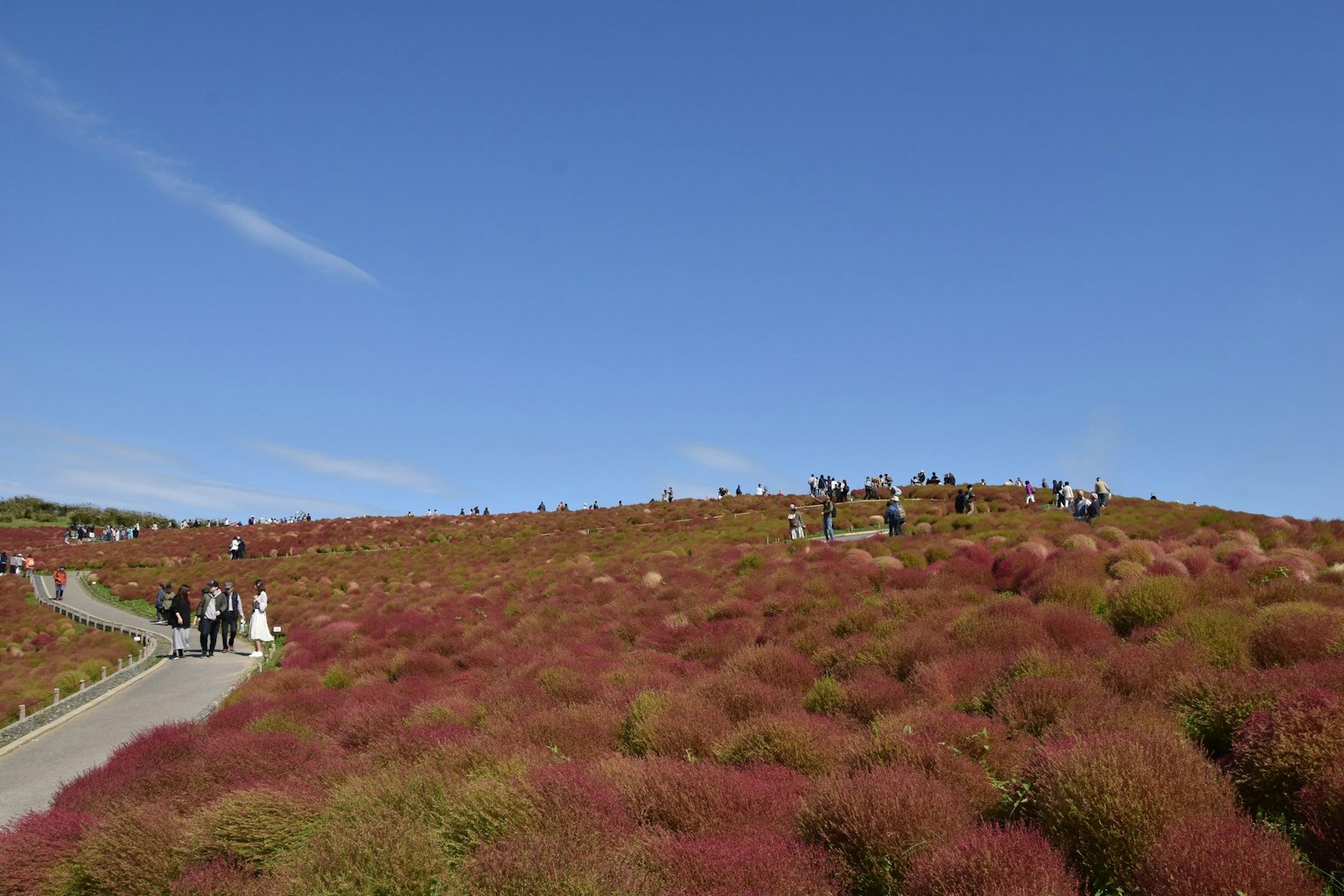 Paesaggio di erba rossa e cielo blu con persone che camminano