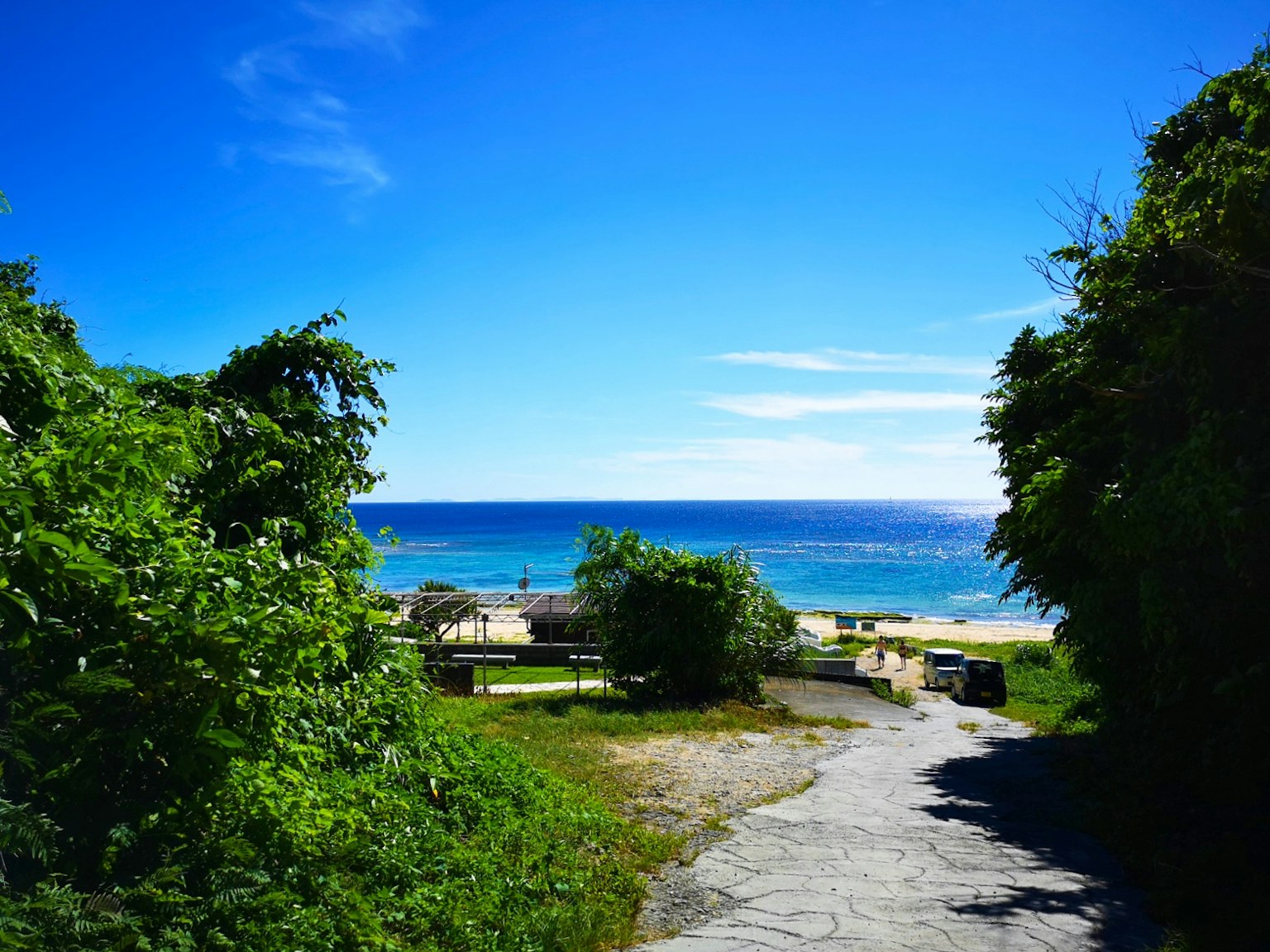 Sentiero verdeggiante che porta a un oceano blu e a un cielo