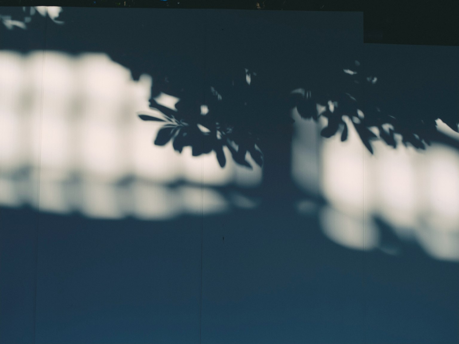 photo-JMh4kJJL7zFDOjRfqznZ-image