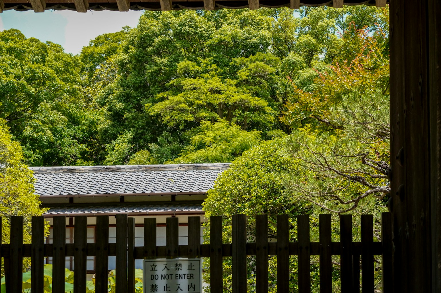 Vue d'un bâtiment japonais traditionnel entouré de verdure luxuriante