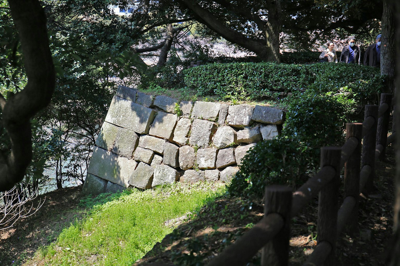Stone wall with lush greenery surrounded by trees