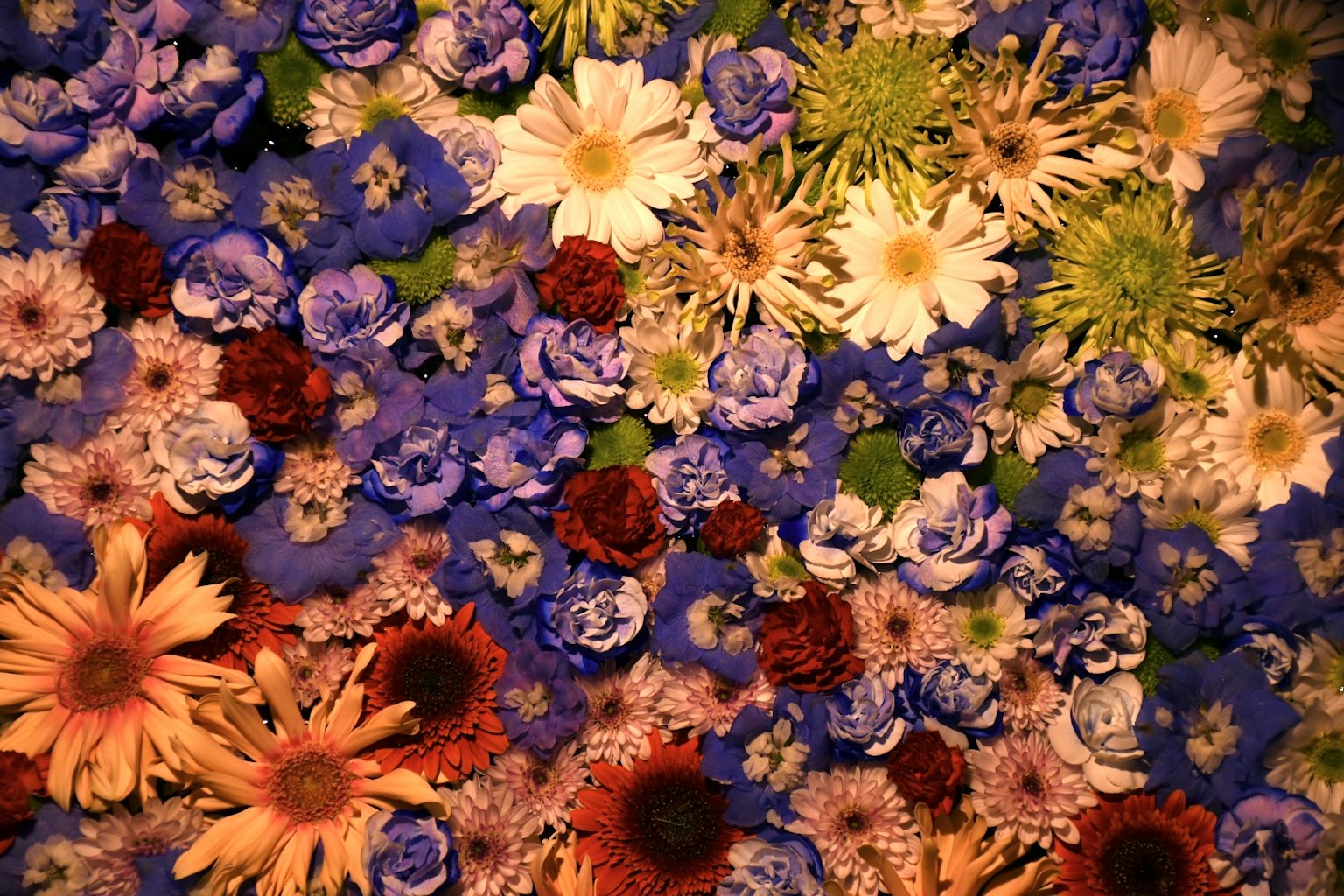 A beautiful arrangement of colorful flowers in various shades