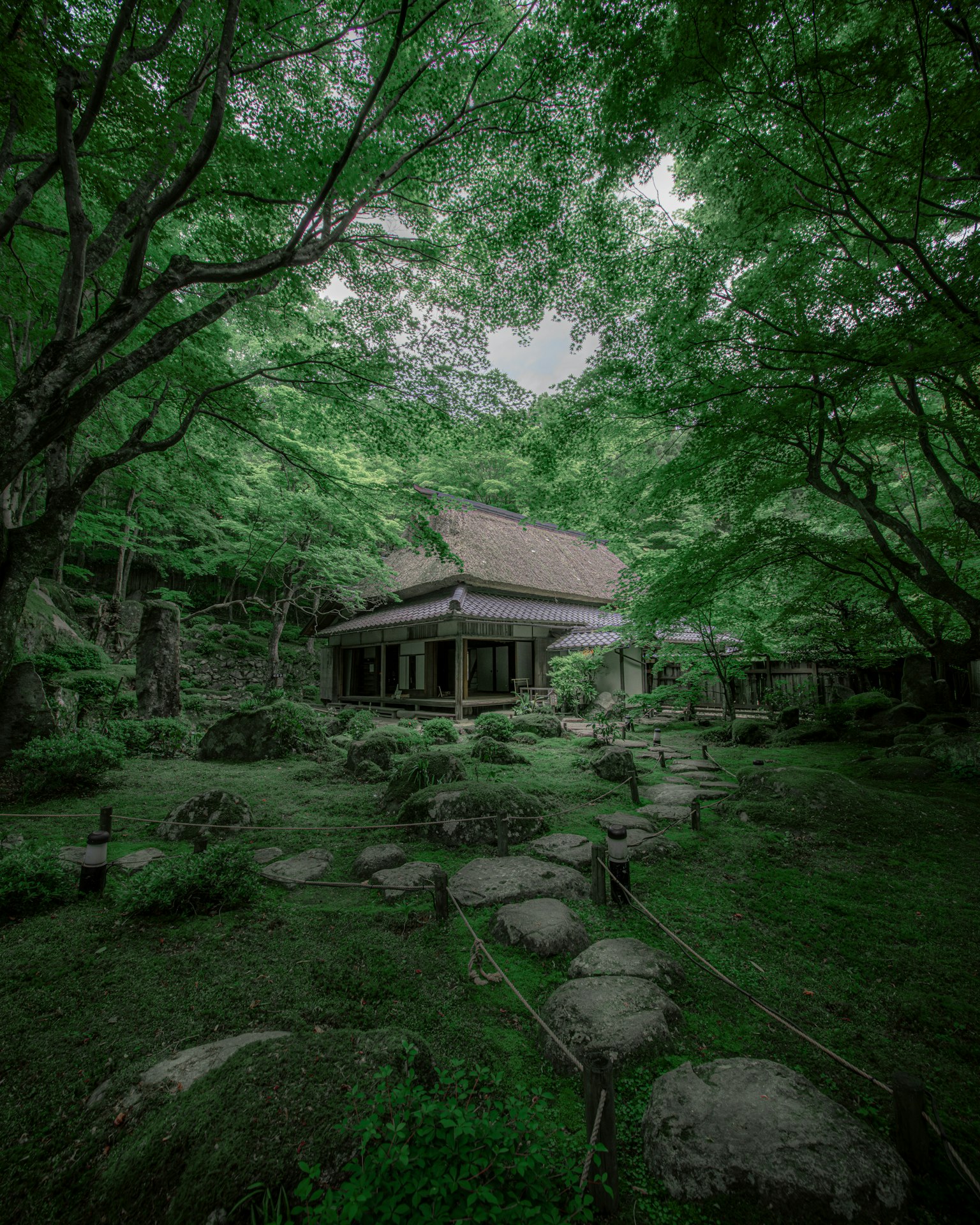 Edificio japonés tradicional rodeado de vegetación exuberante y camino de piedras