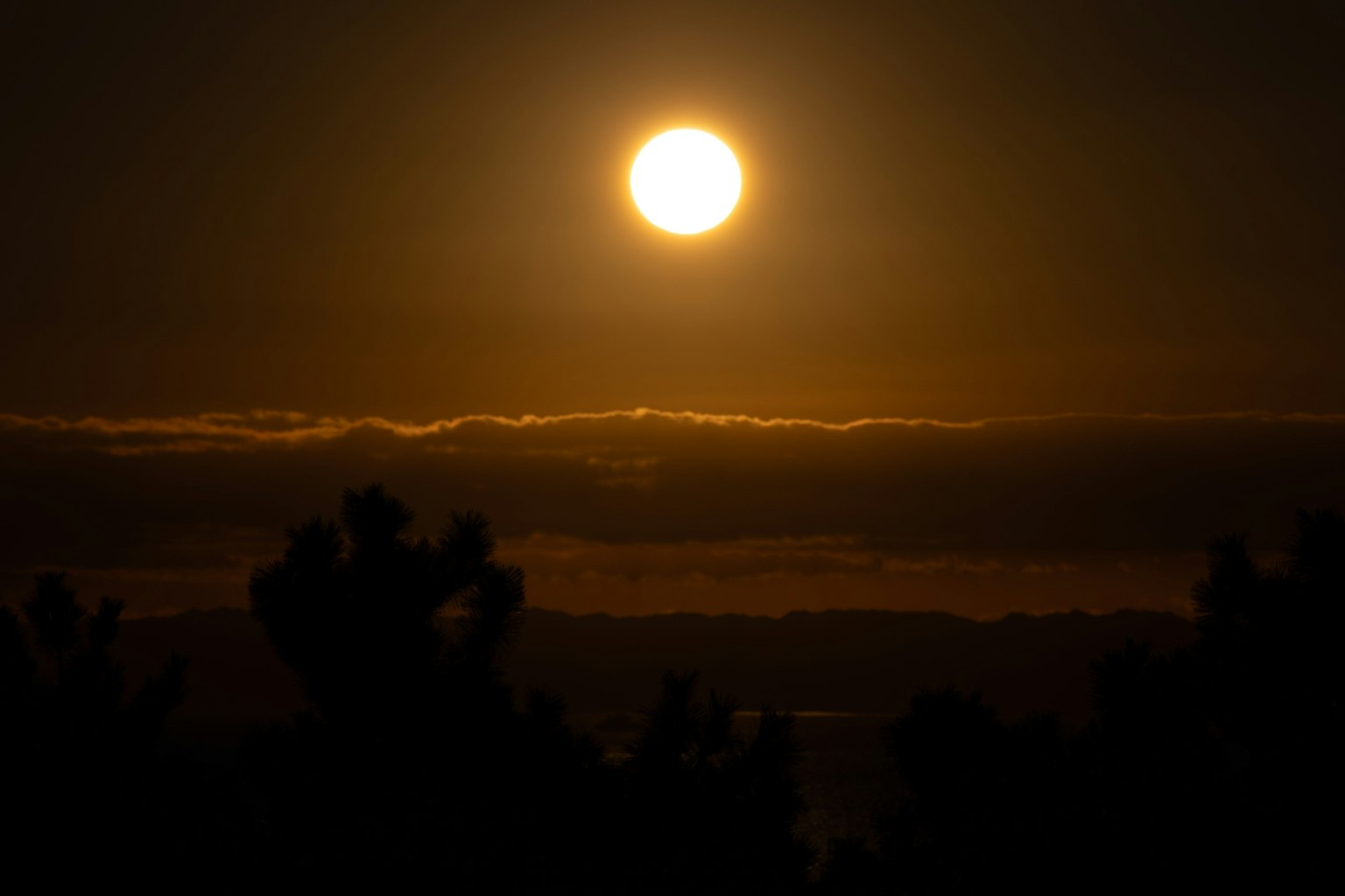 Tramonto sopra le nuvole con alberi in silhouette