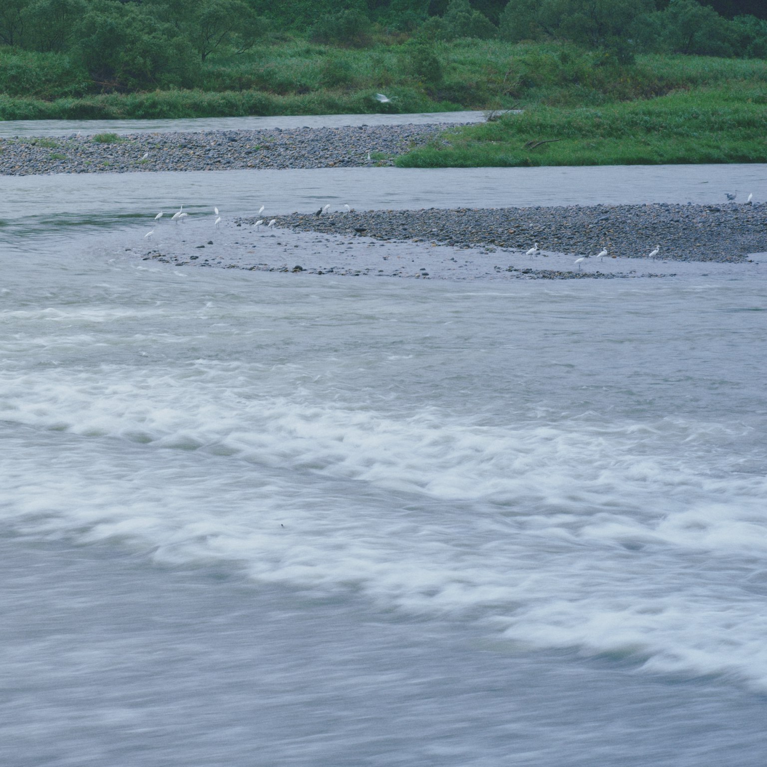 平靜的河流與綠色草地