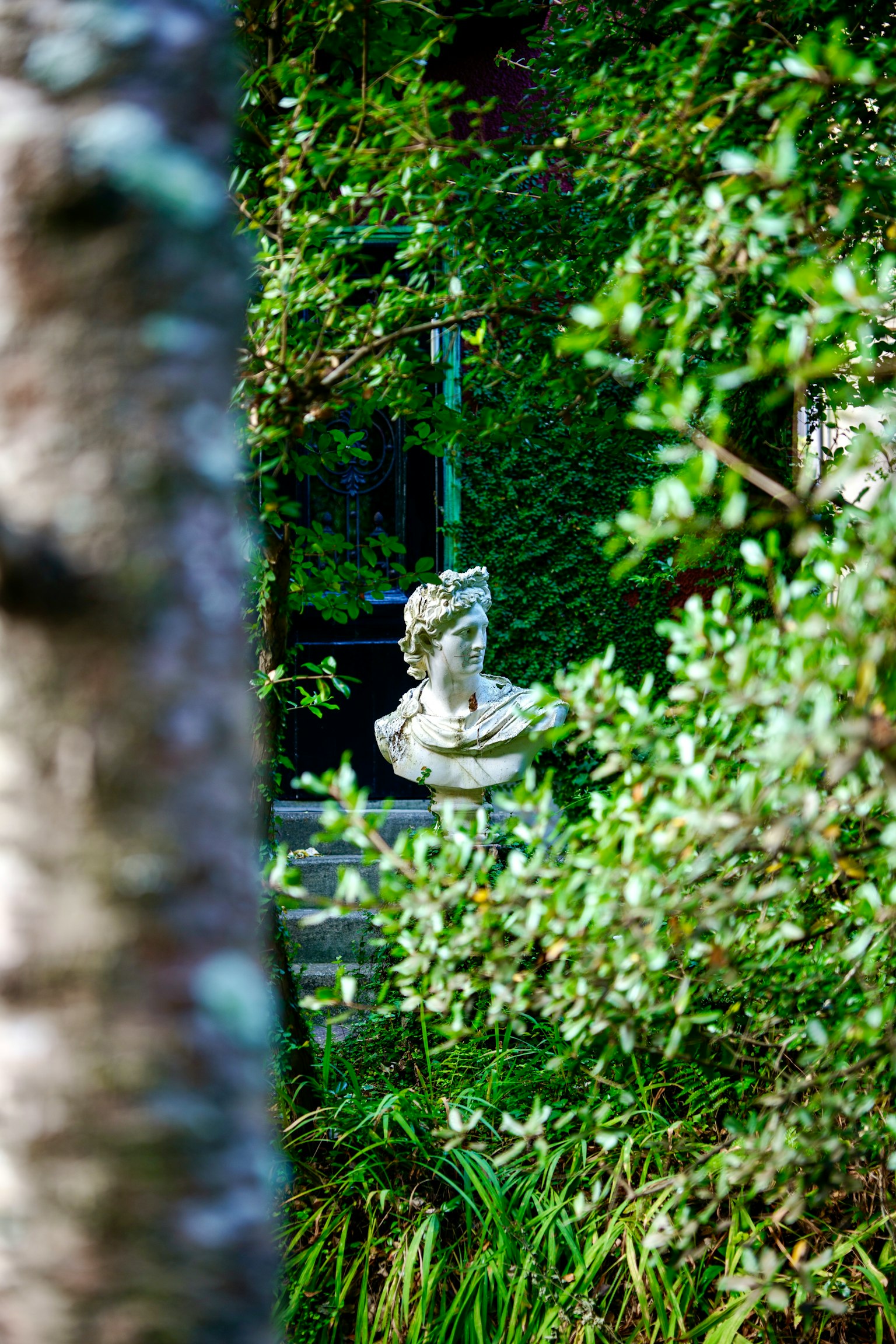 photo-JP1xmP64b9cYMk46vt3c-image
