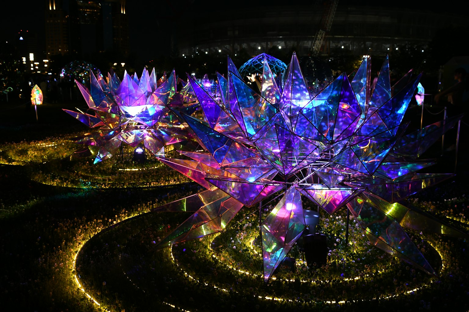 夜間照亮的彩色水晶花
