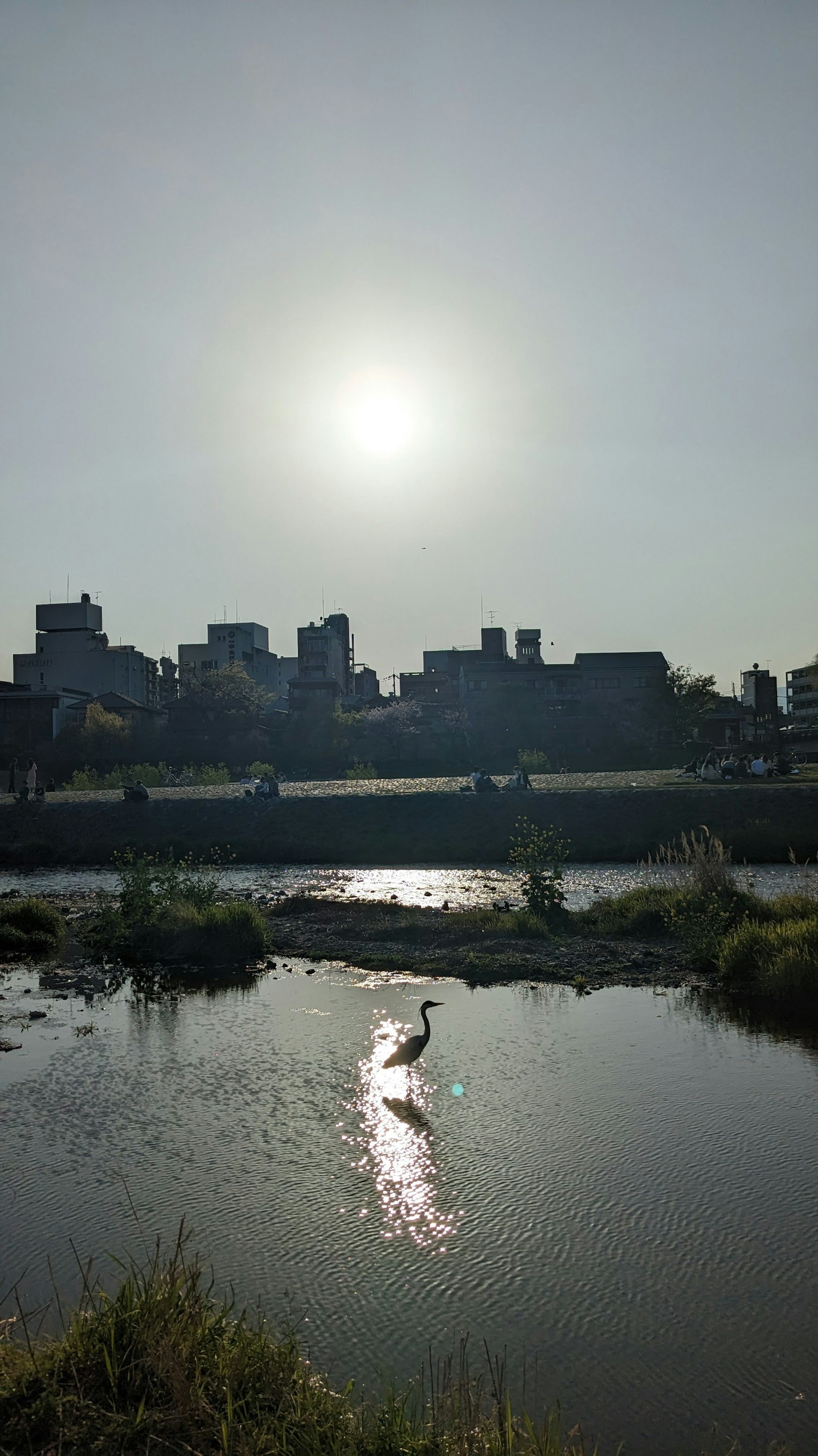 Seekor heron berdiri di sungai yang memantulkan matahari terbenam dengan siluet kota