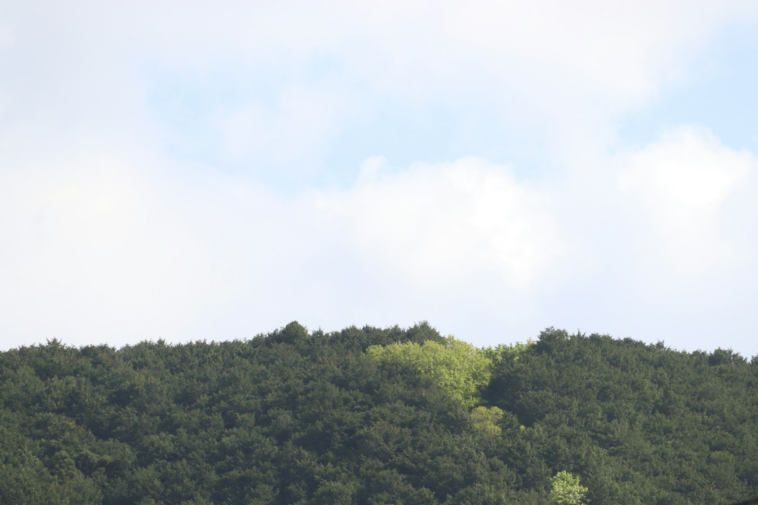 绿色山丘上方有轻云的风景