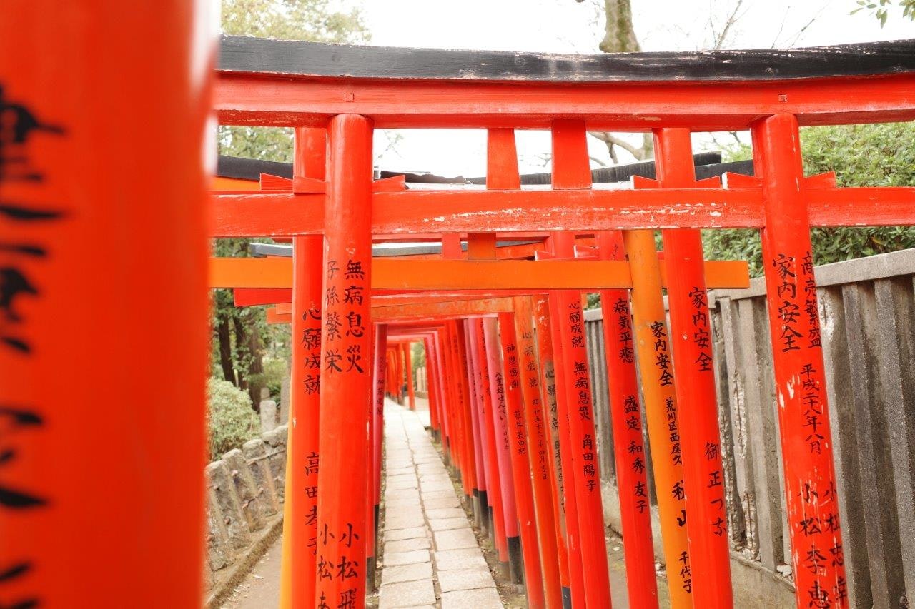 朱色の鳥居が並ぶ参道の奥行き