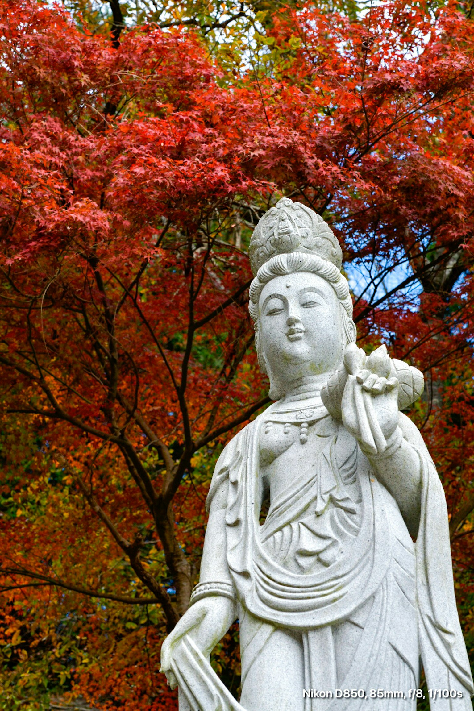 Statua bianca di Kannon che si erge contro uno sfondo di foglie autunnali vibranti