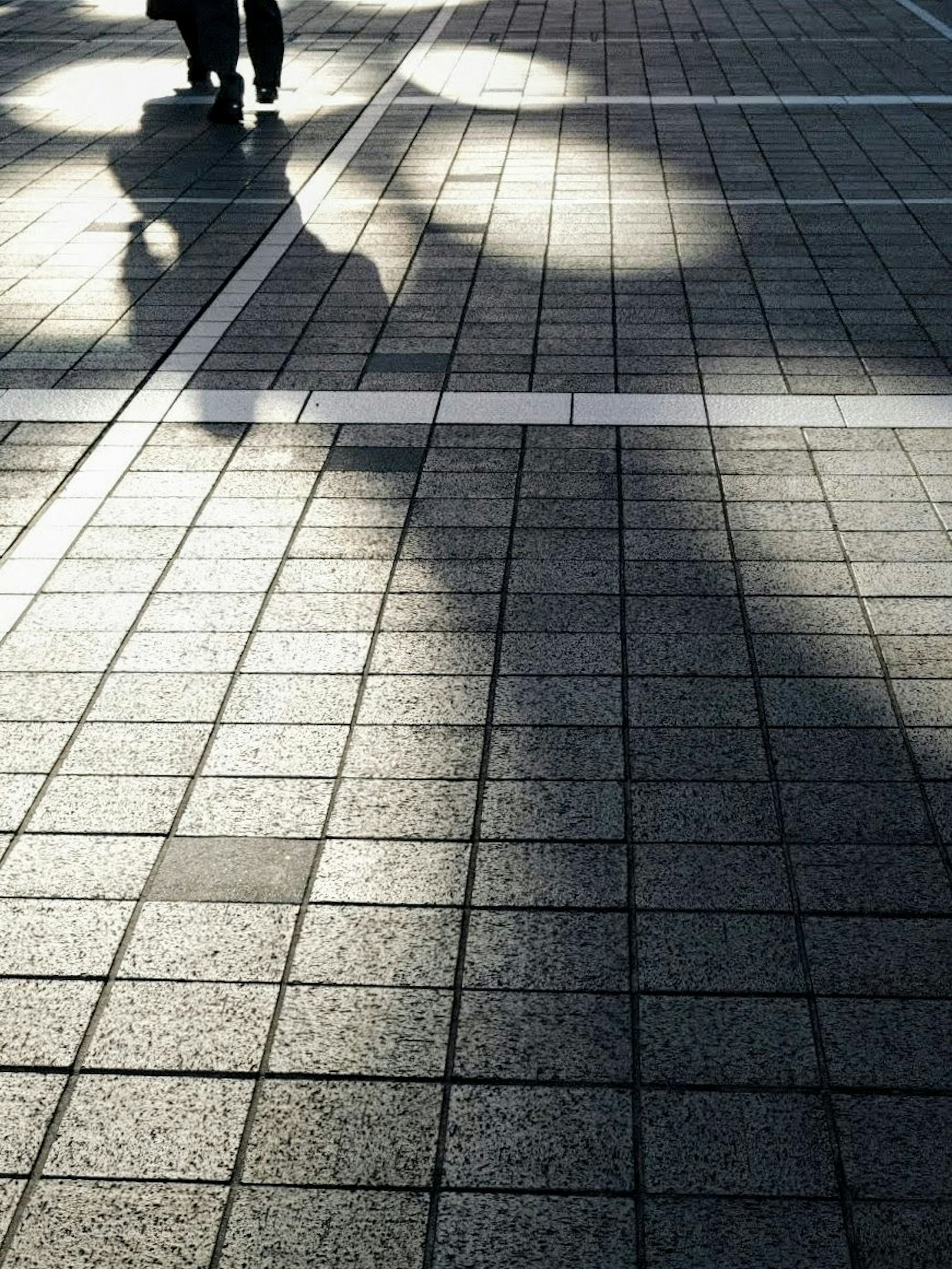 Ombres et motifs de lumière sur une surface pavée