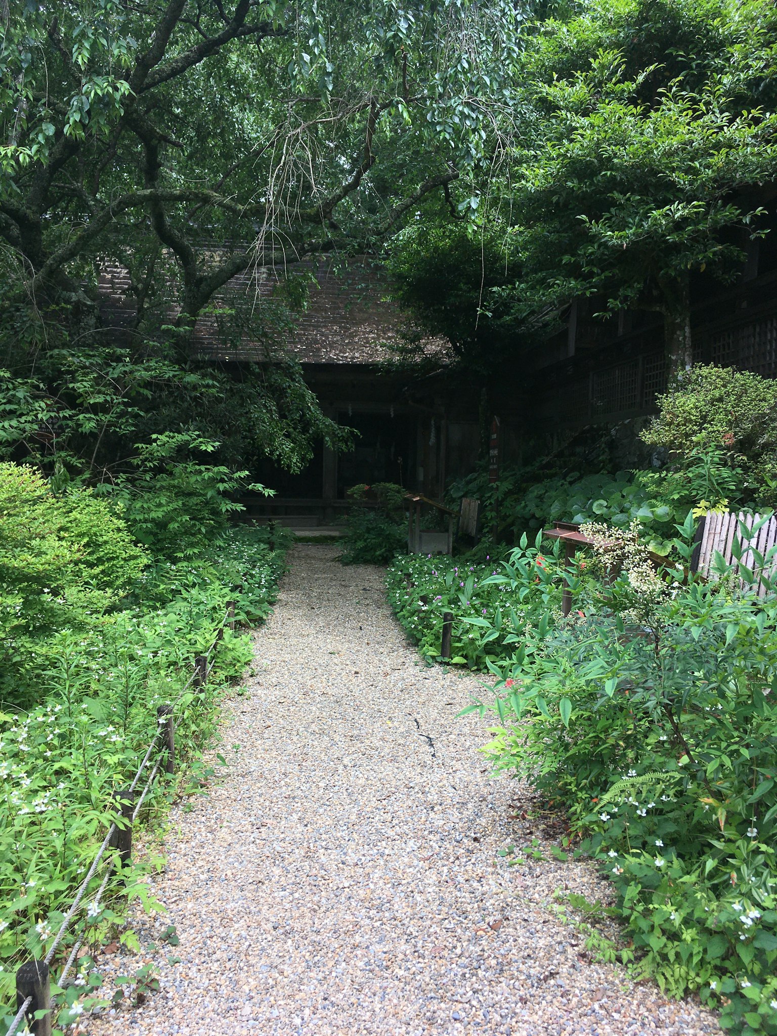 A serene garden path surrounded by lush greenery