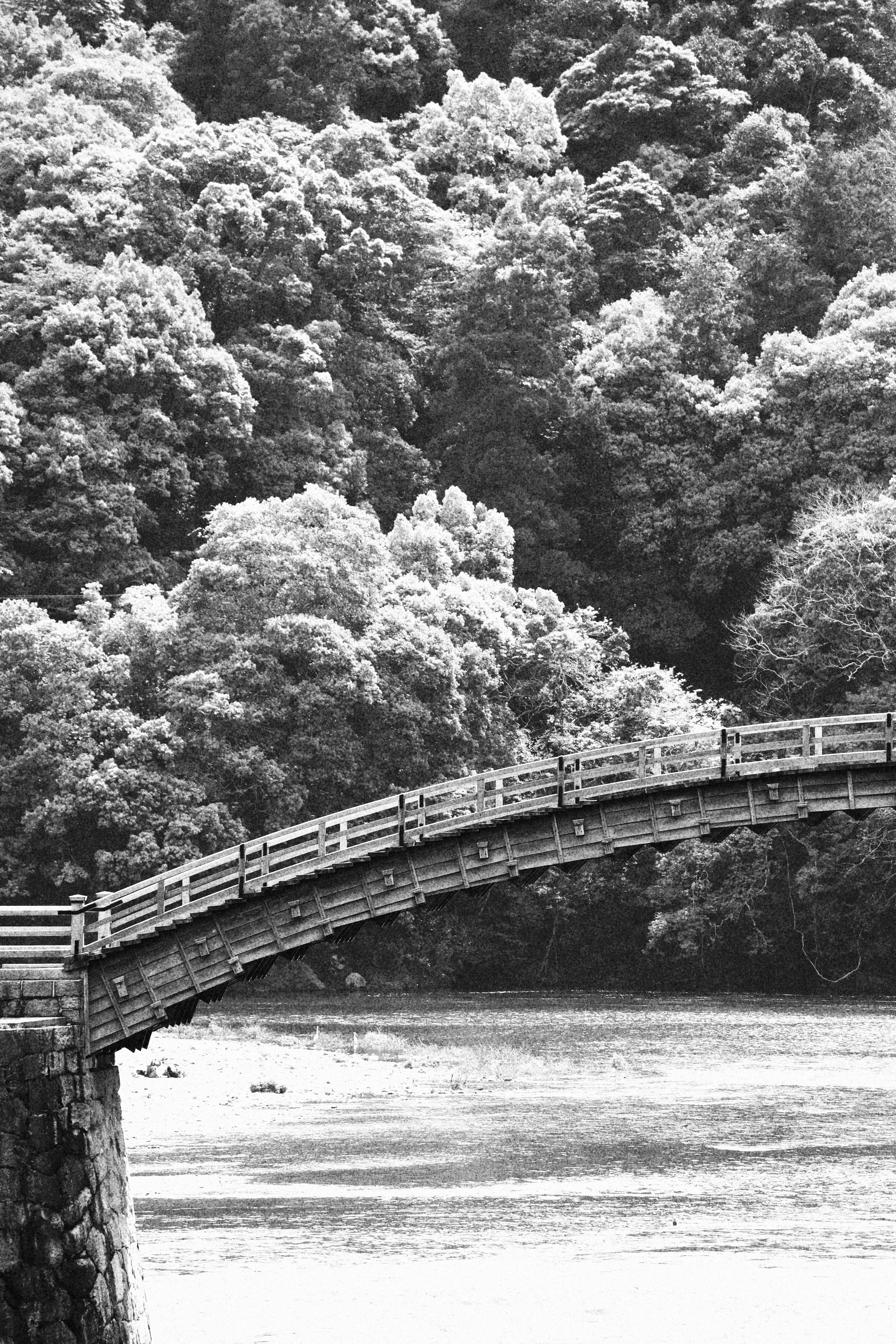 錦帯橋の一部をモノクロで切り取った渓谷の景色