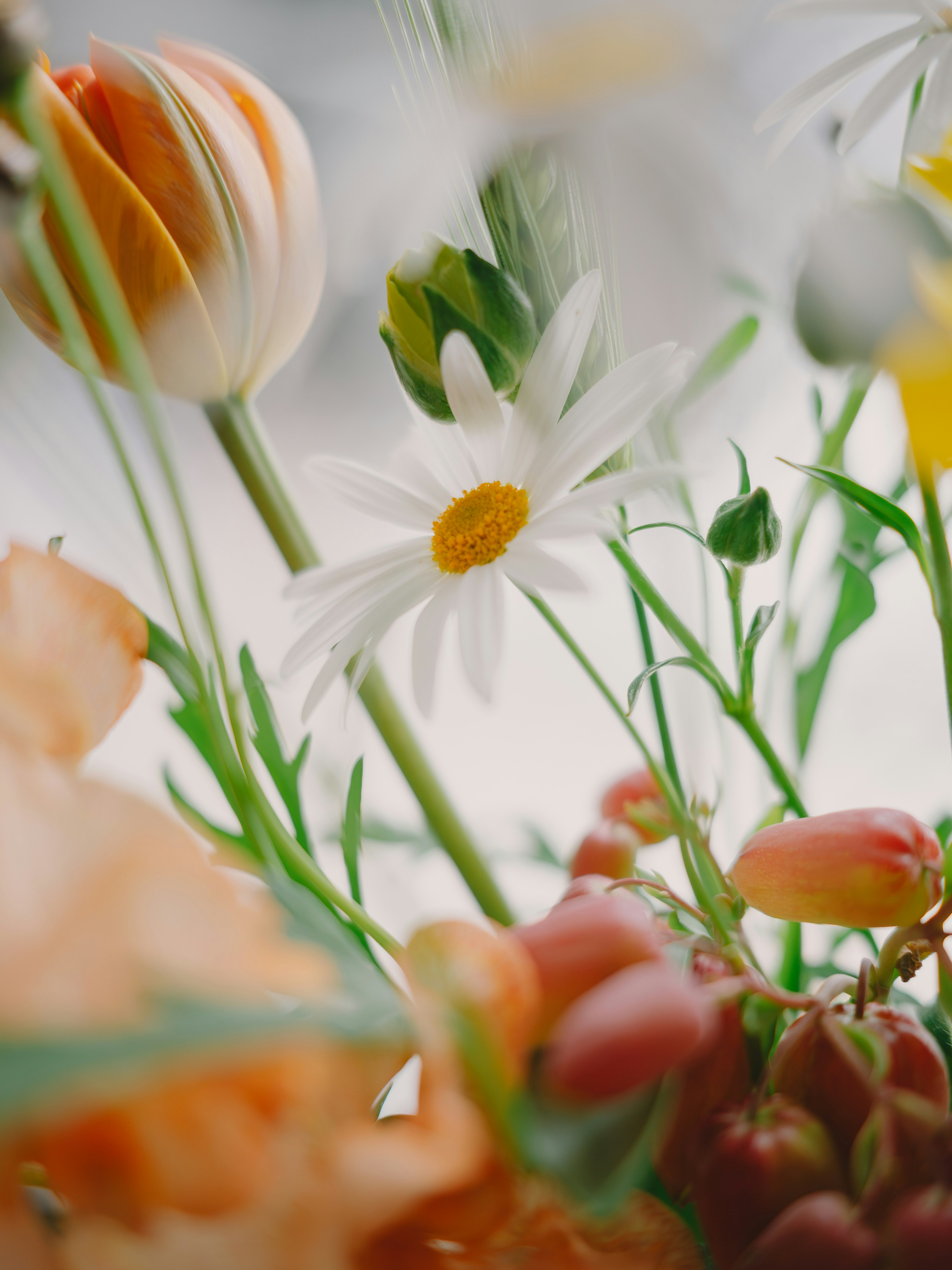 ดอกไม้สีขาวและดอกคล้ายทิวลิปข้างแจกัน