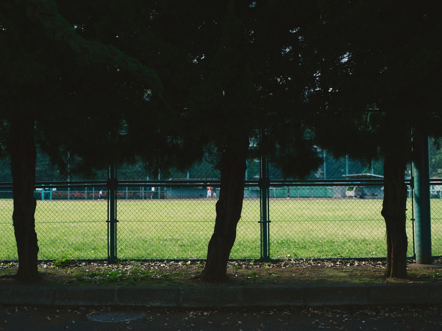 photo-JSLbcnSafMidHn8vu6nt-image
